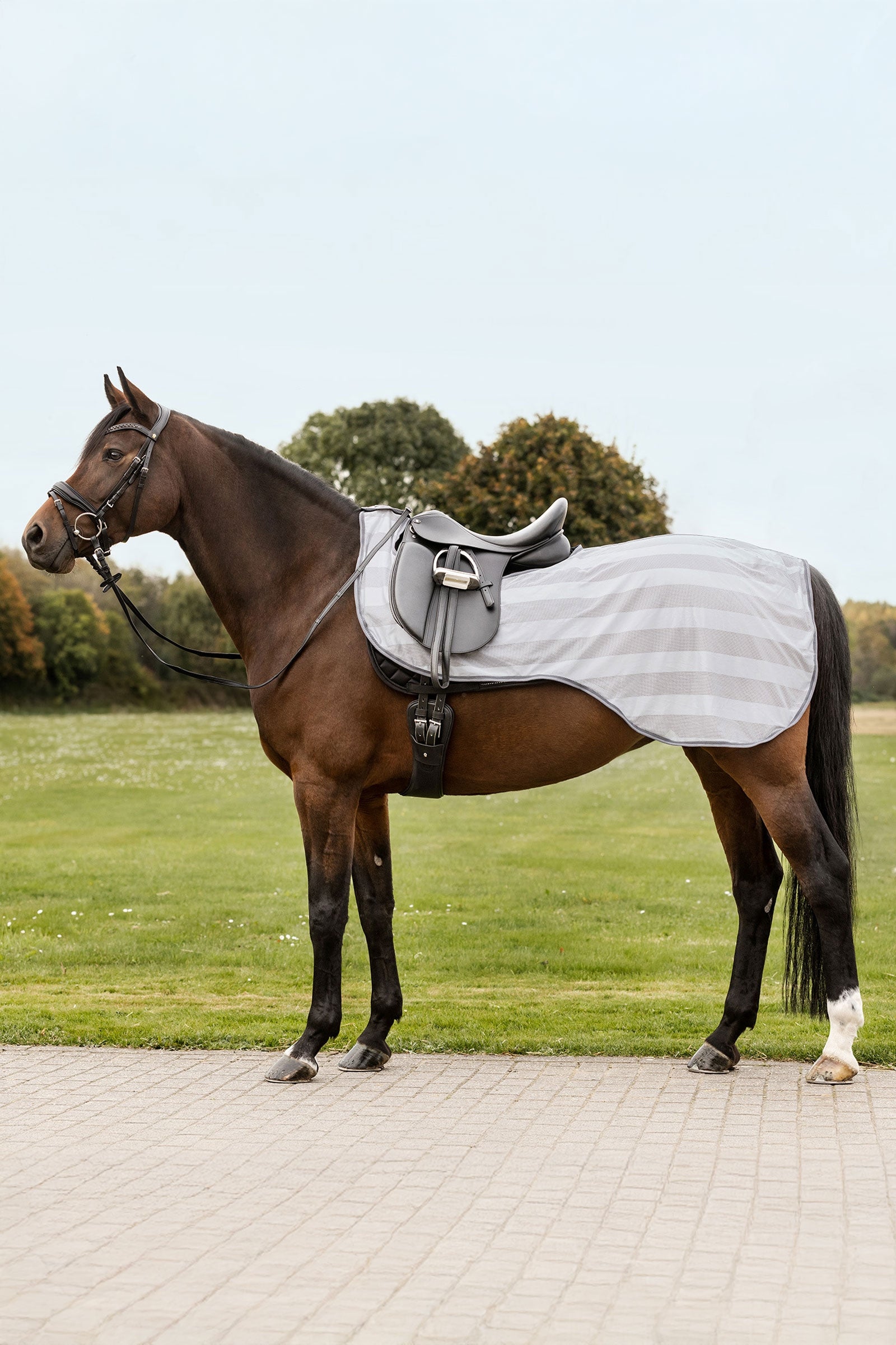 Waldhausen Economic Fly Exercise Sheet Horse Rugs