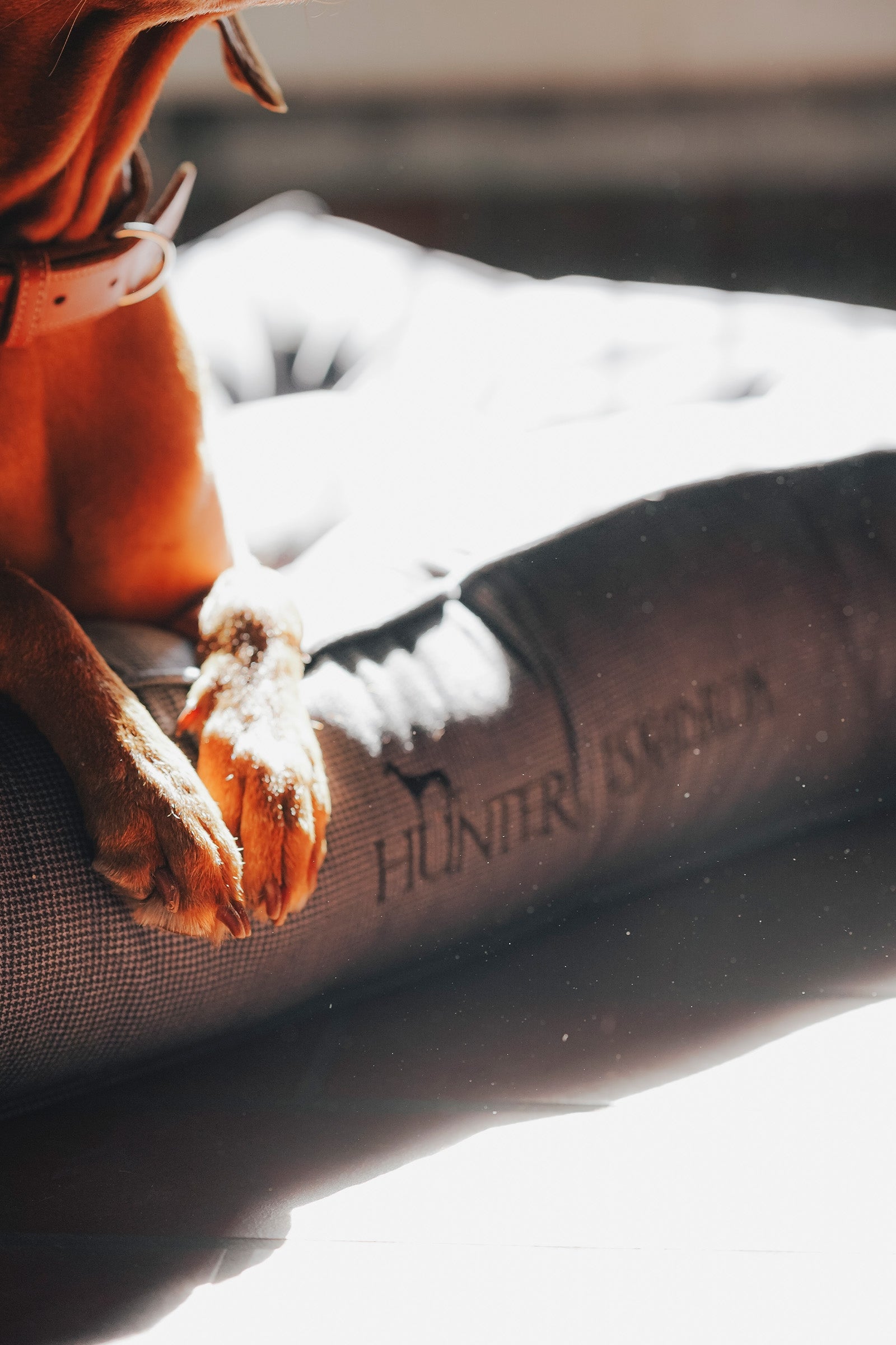 Lifestyle shot 6