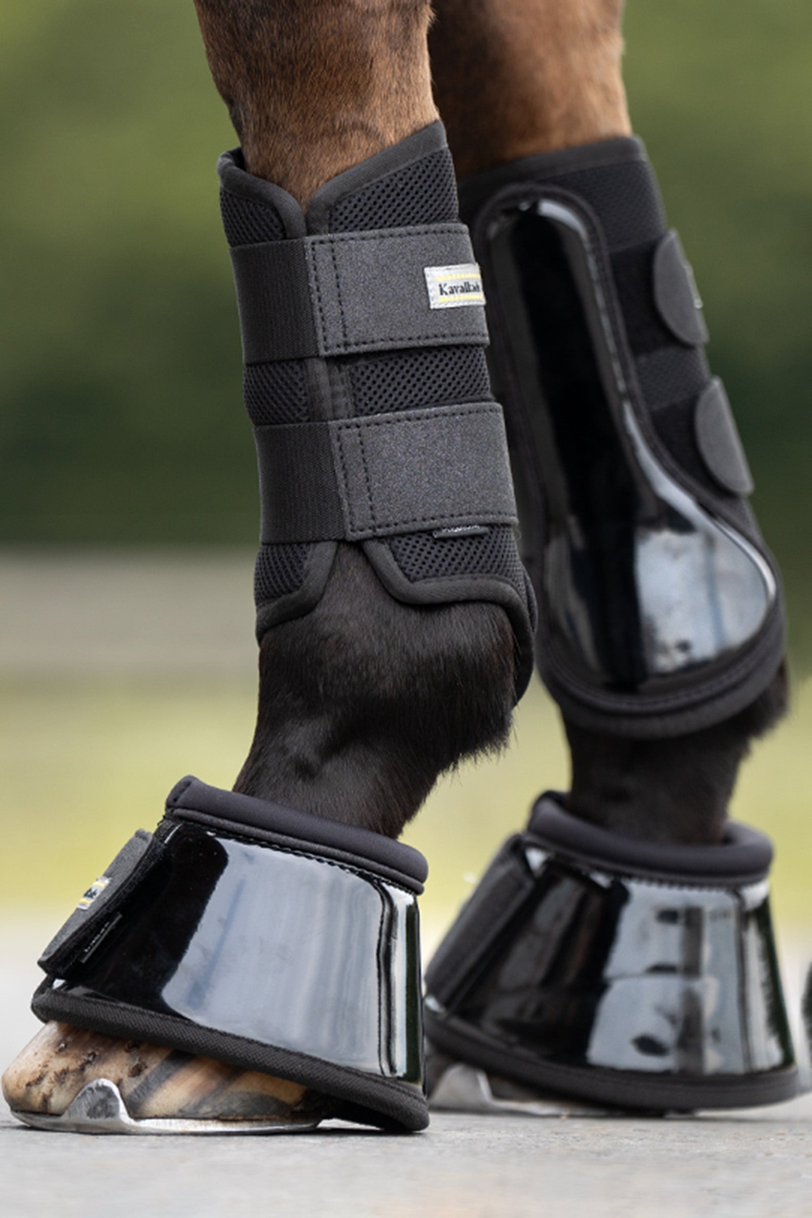Kavalkade Anatomic Star Mesh Brushing Boots (1Pair) Leg & Hoof Protection
