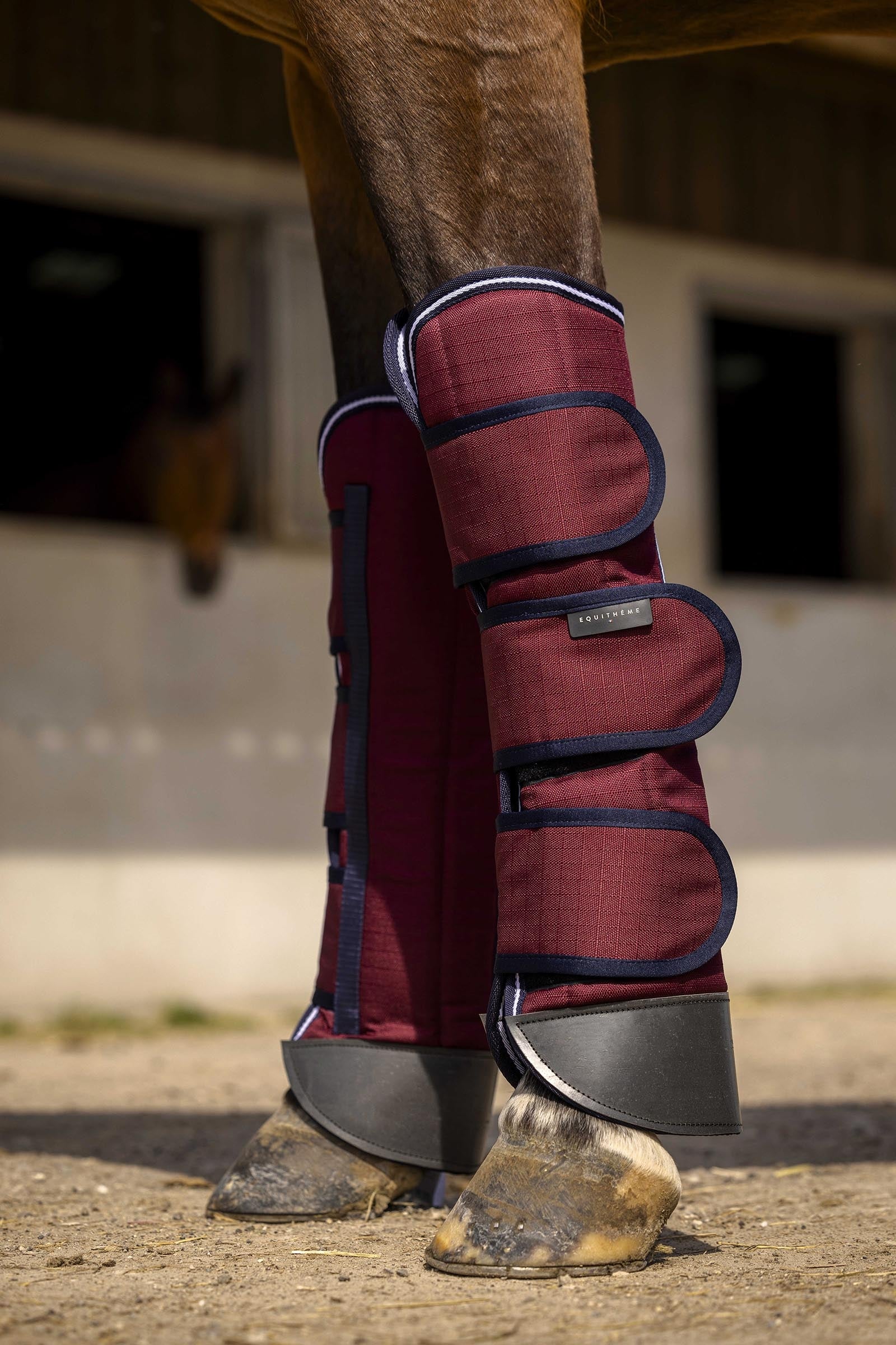 Equi Theme EQUITHÈME TYREX 1200D Reinforced Transport Boots Leg & Hoof Protection