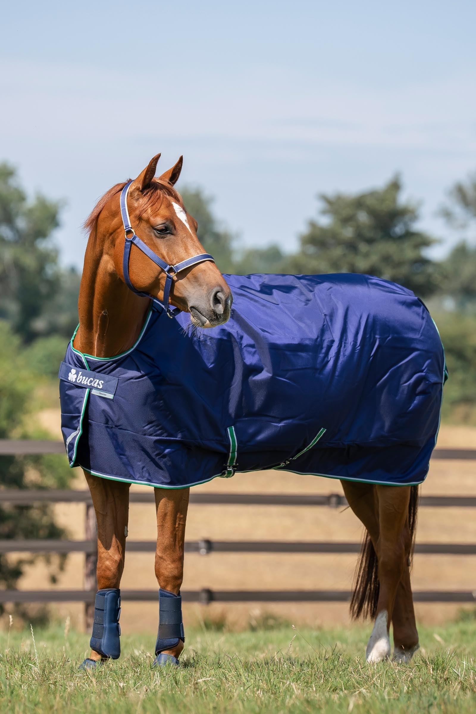 Bucas Smartex Rain Pony Turnout Rug with Cooling Function, 0g Horse Rugs