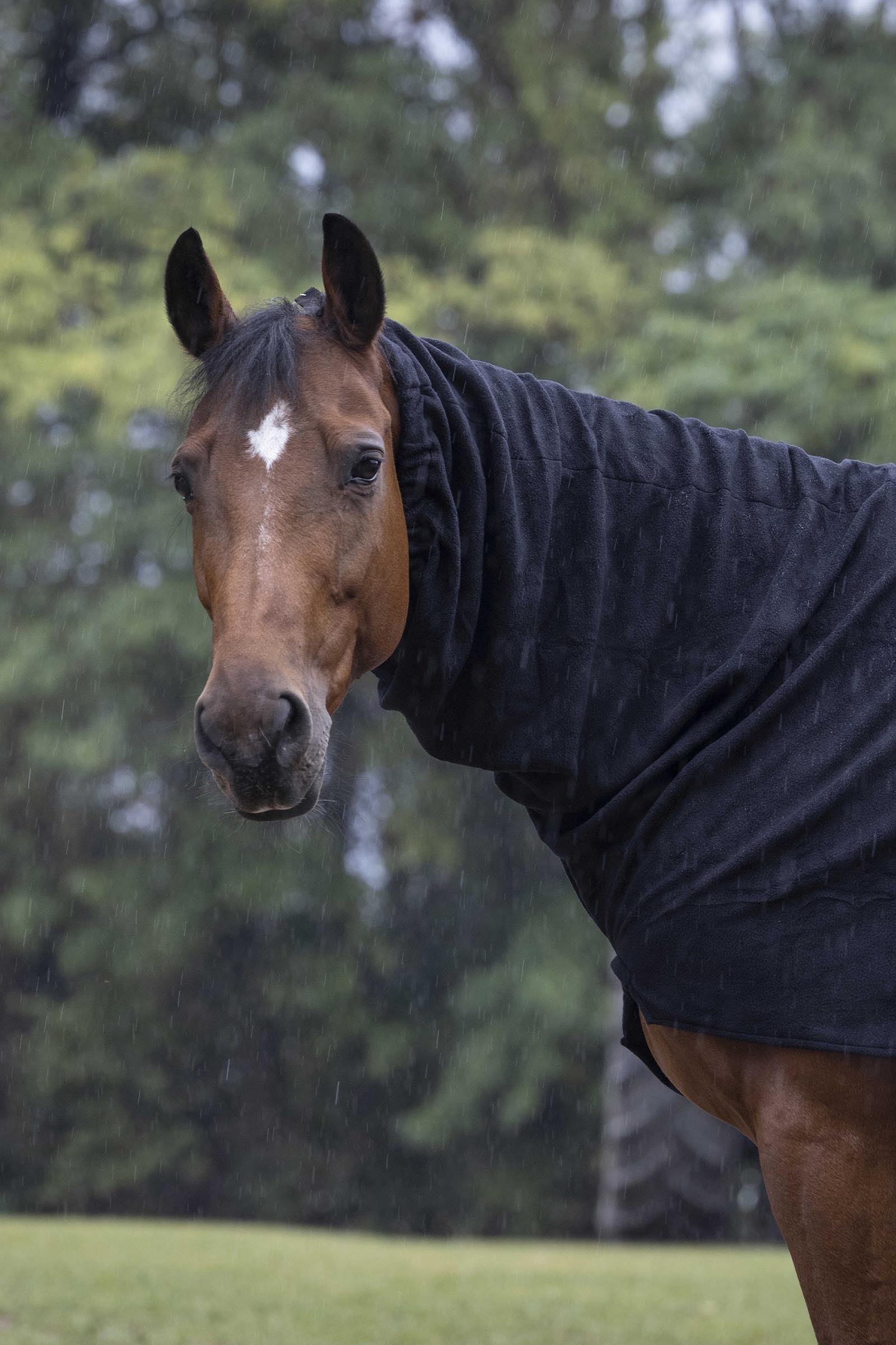 EQUITHÈME Polar Fleece Neck Cover Horse Rugs