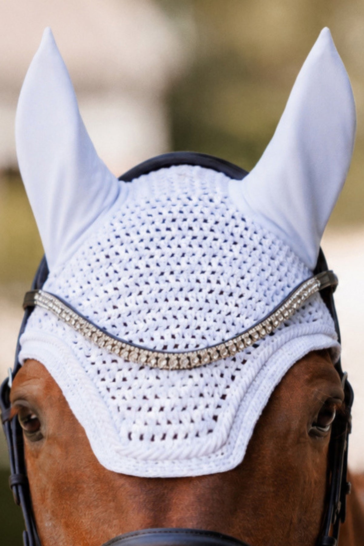 Kavalkade Noble Fly Veil Saddle Pads