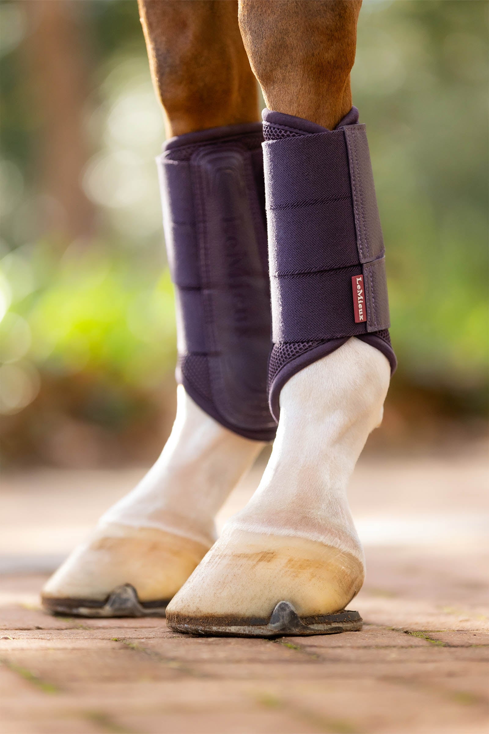 LeMieux Arika Mesh Brushing Boots Leg Protection & Hoof Protection for Horses