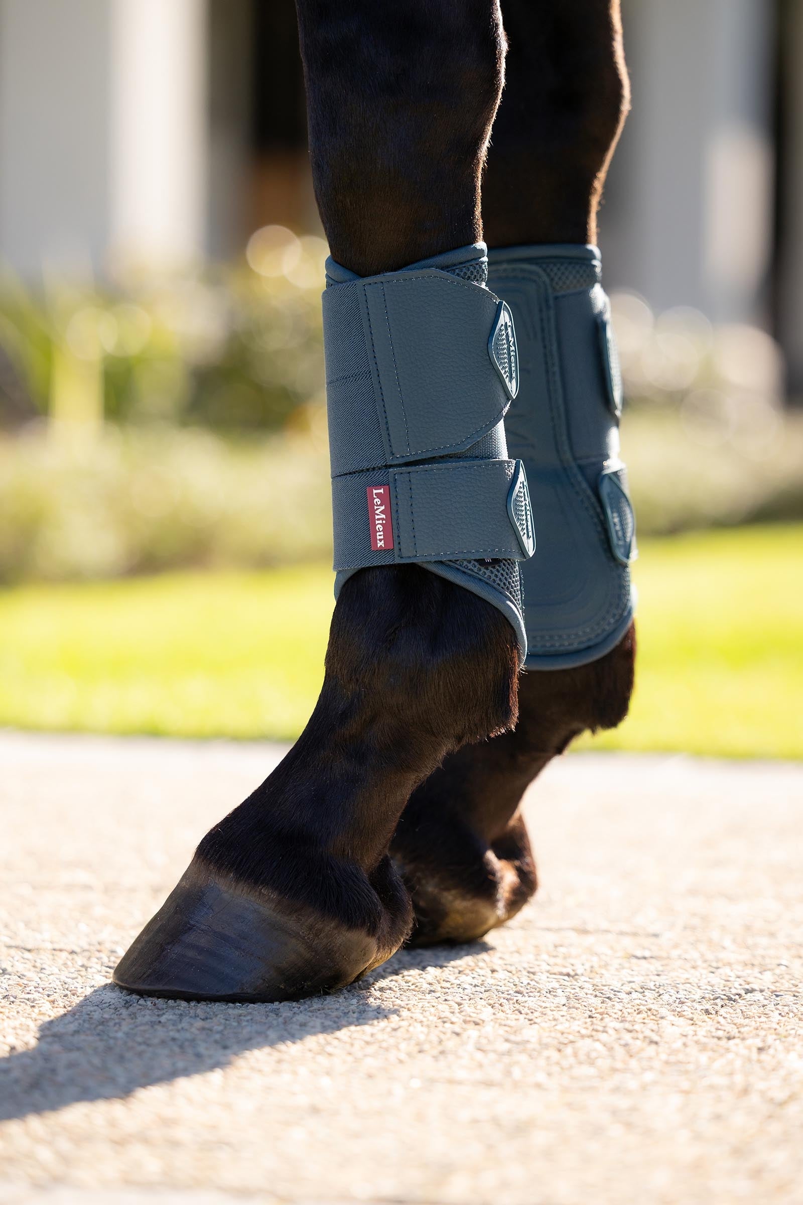 LeMieux Arika Mesh Brushing Boots Leg Protection & Hoof Protection for Horses
