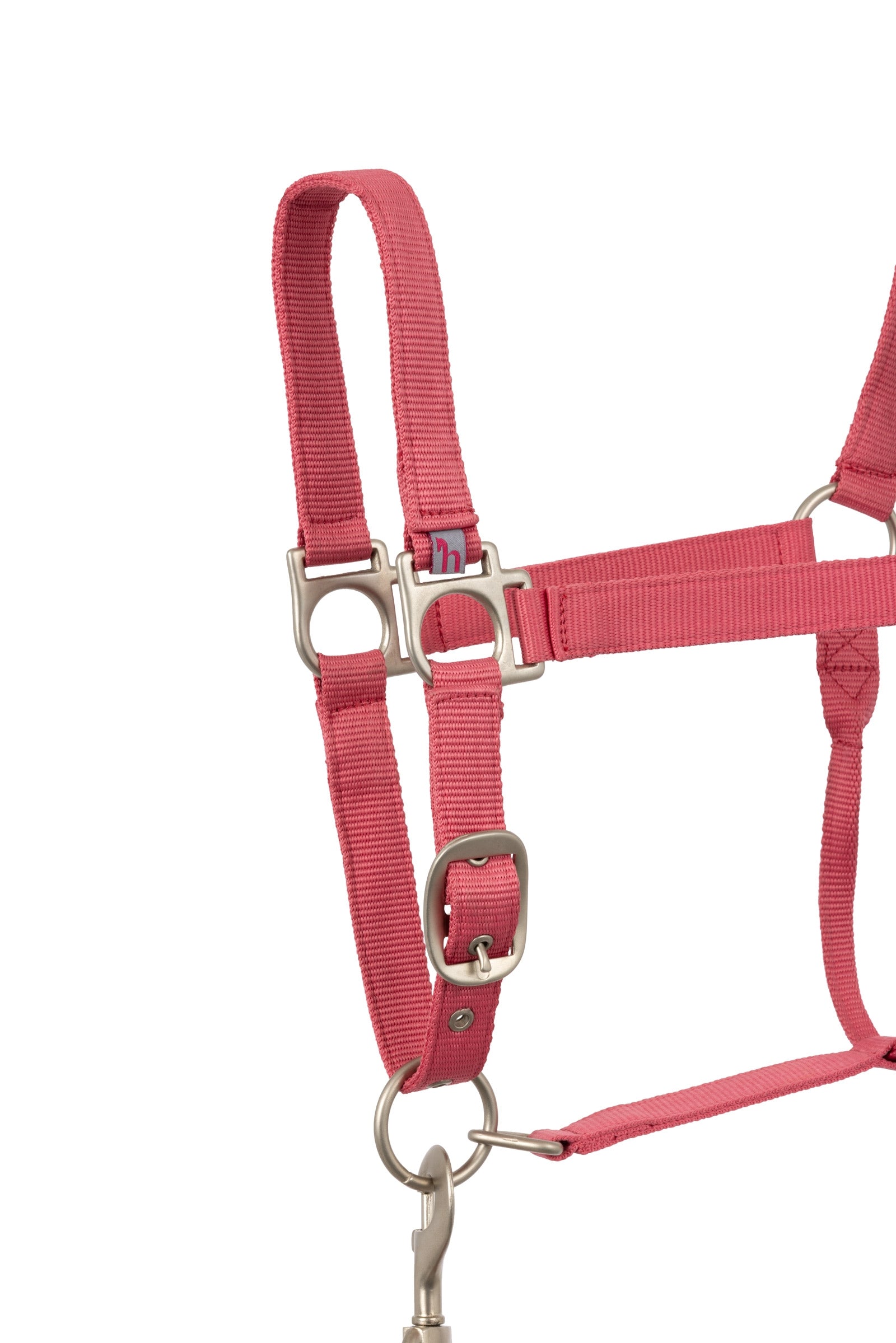 Horze Rose Tonique Halter Halters & Leads