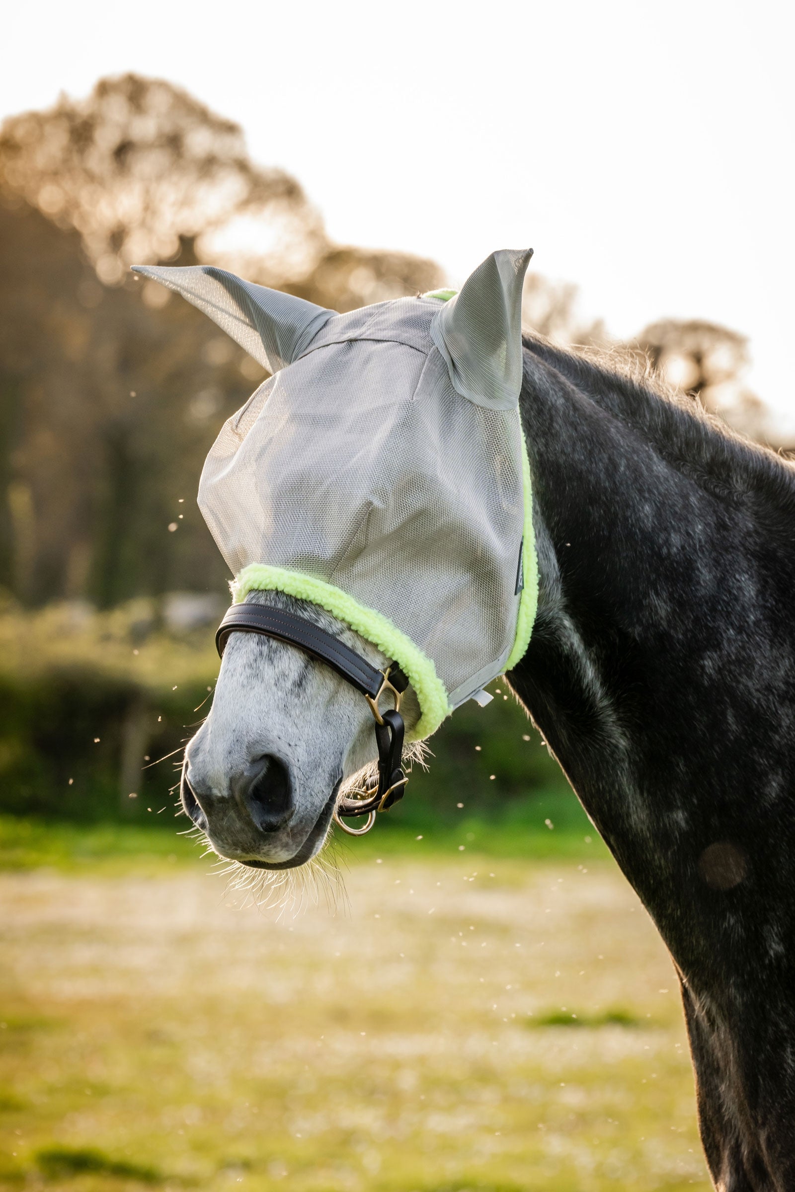 Horseware Amigo Fluemaske Fluebeskyttelse til hest