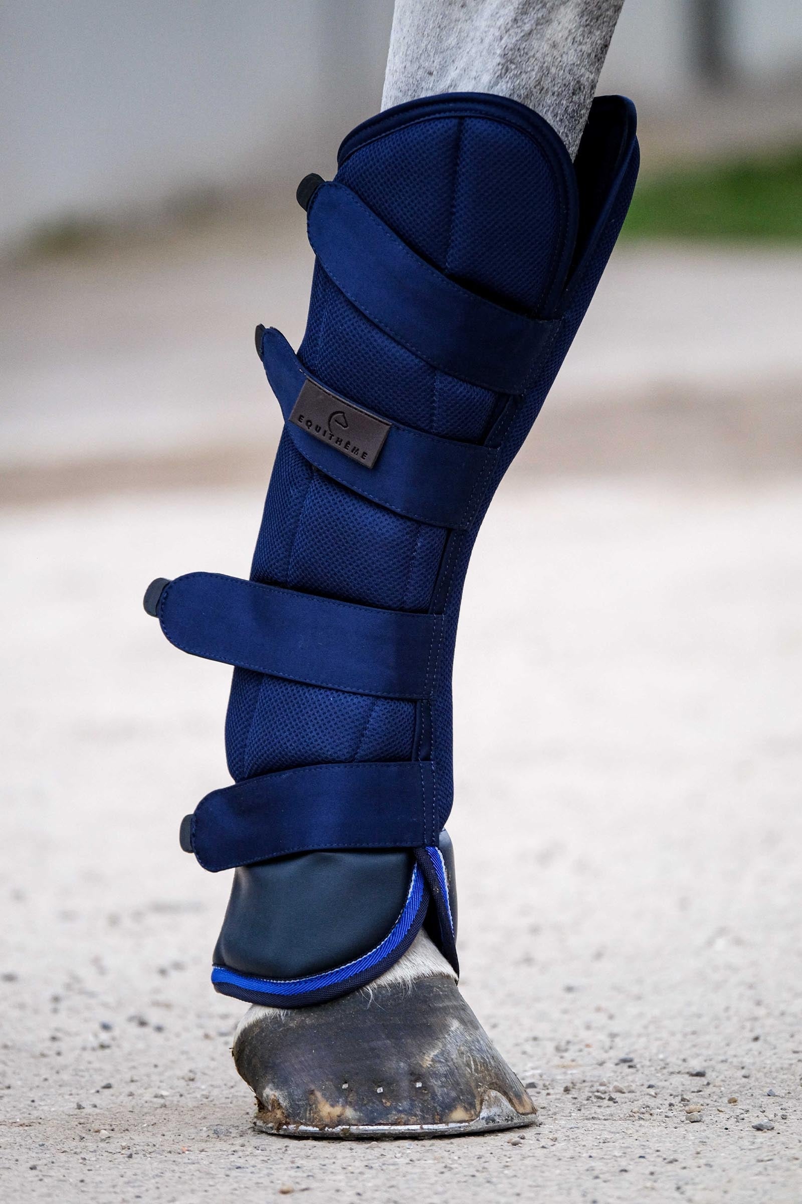 Equi Theme EQUITHÈME Classic Transport Boots Leg & Hoof Protection