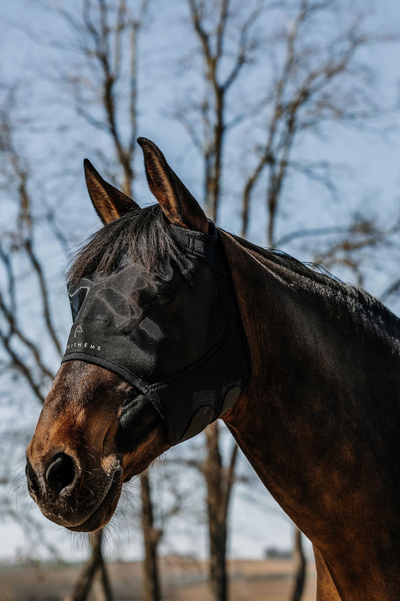 Equi Theme EQUITHÈME Mesh Fly Mask/ UV Mask Without Ears Antifly Protection for Horses