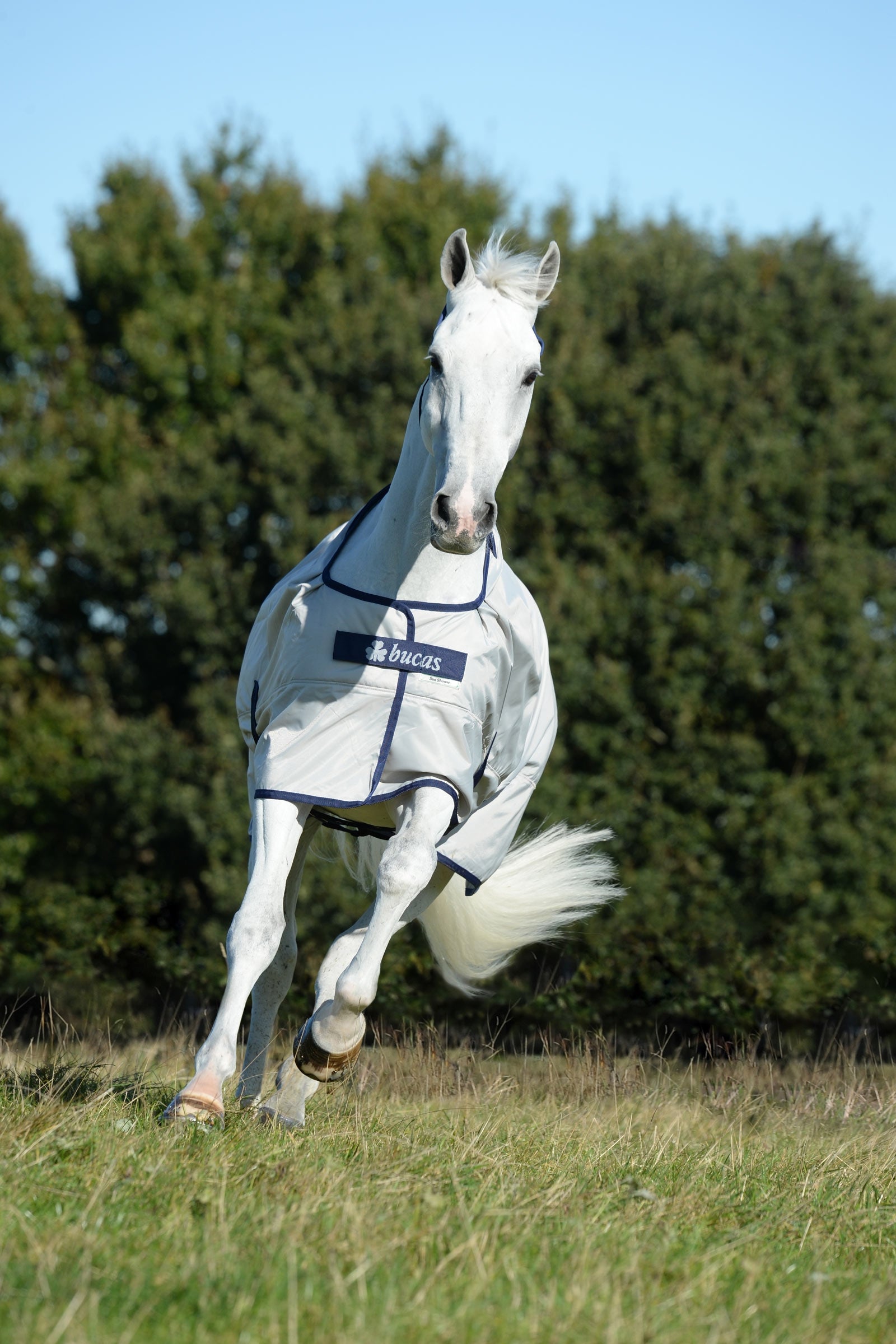 Bucas Sun Shower Turnout Rug, 0g Horse Rugs