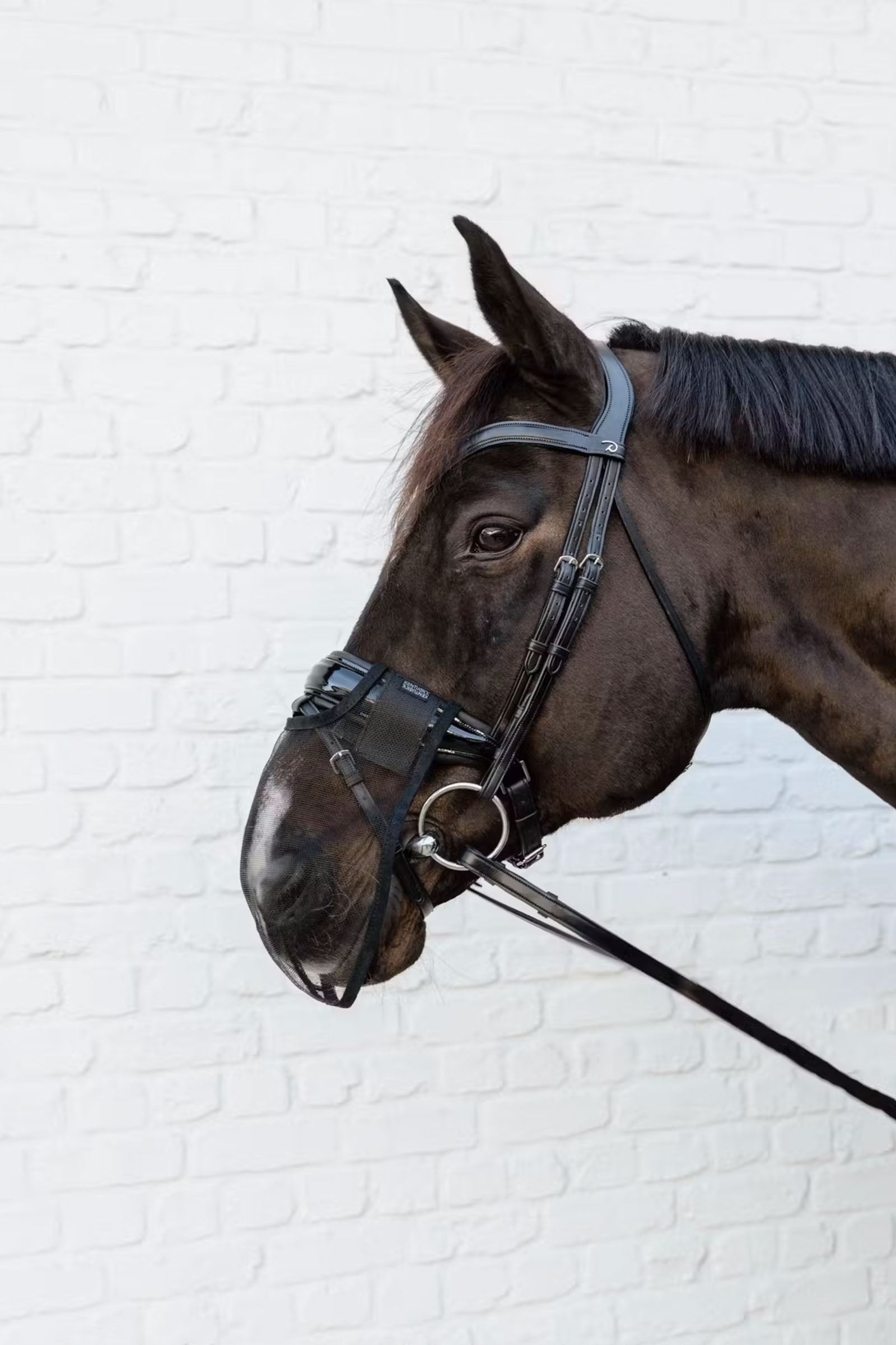 Kentucky Horsewear Anti fly nose net Antifly Protection for Horses
