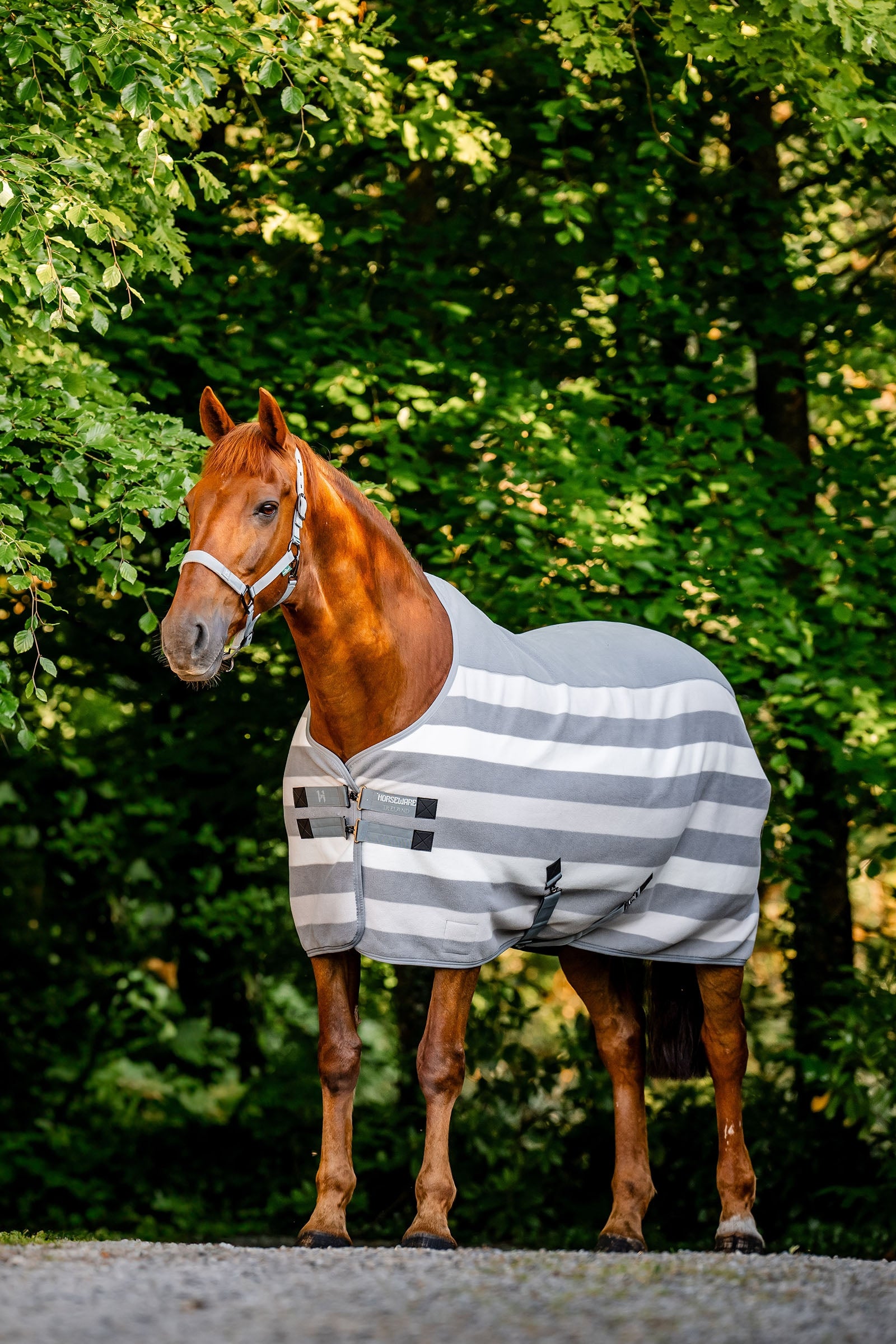 Horseware Newmarket Fleece Cooler-dekken Dekken