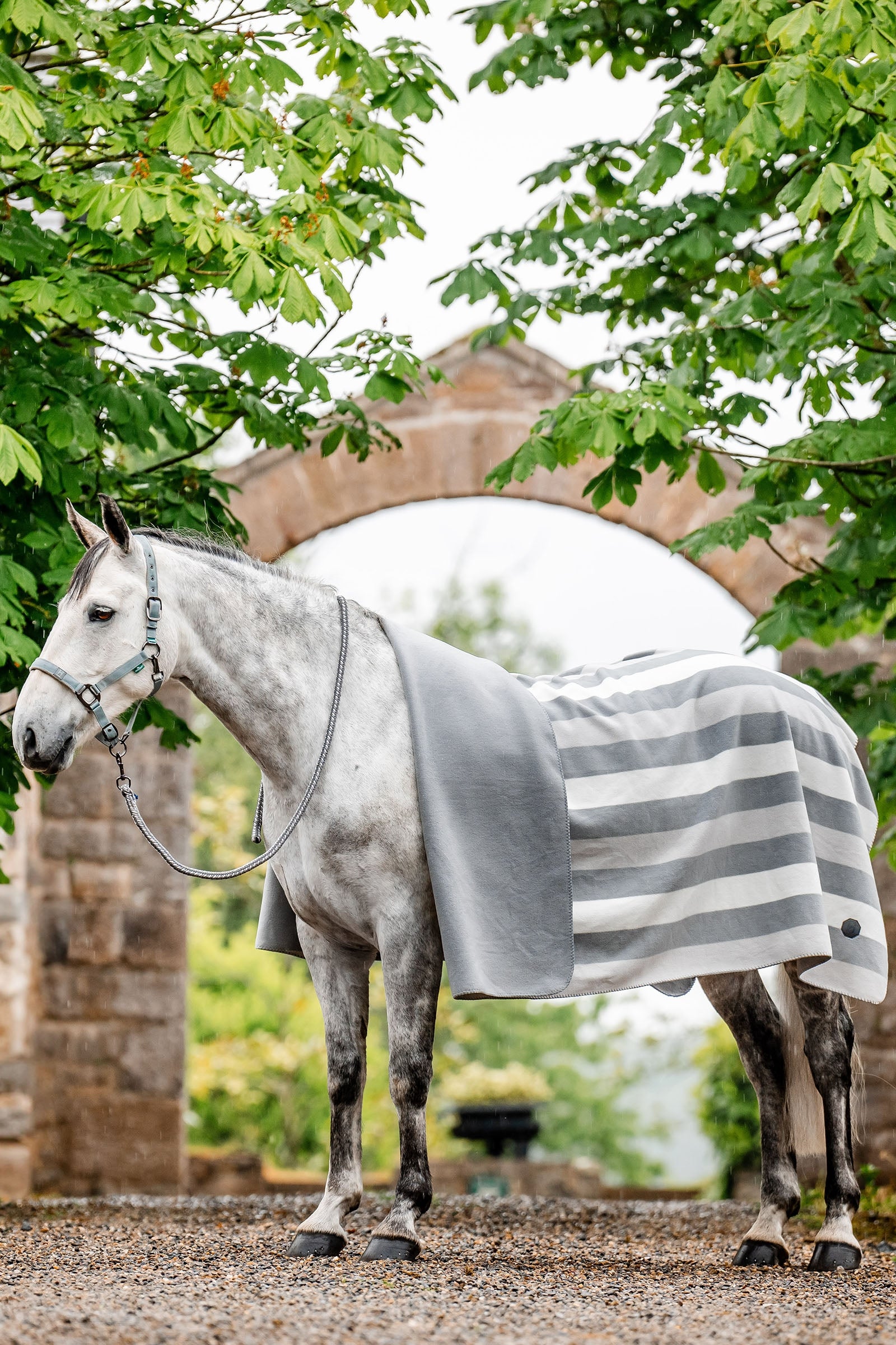 Horseware Newmarket Fleece Cooler-dekken (Square) Dekken