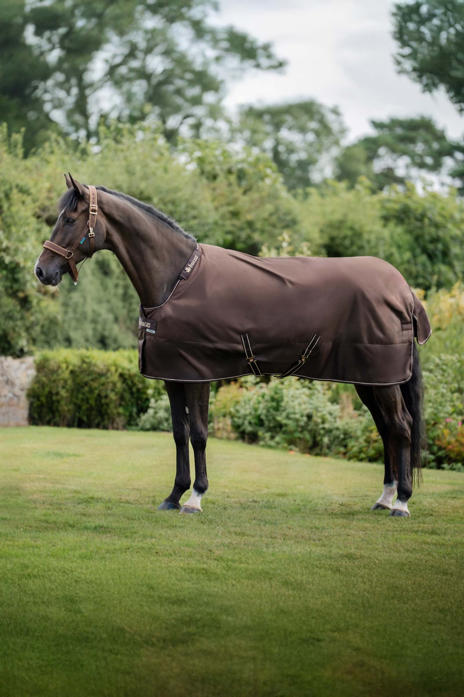 Bucas Irish Turnout Rug, 300 g & Neck Set Dekken