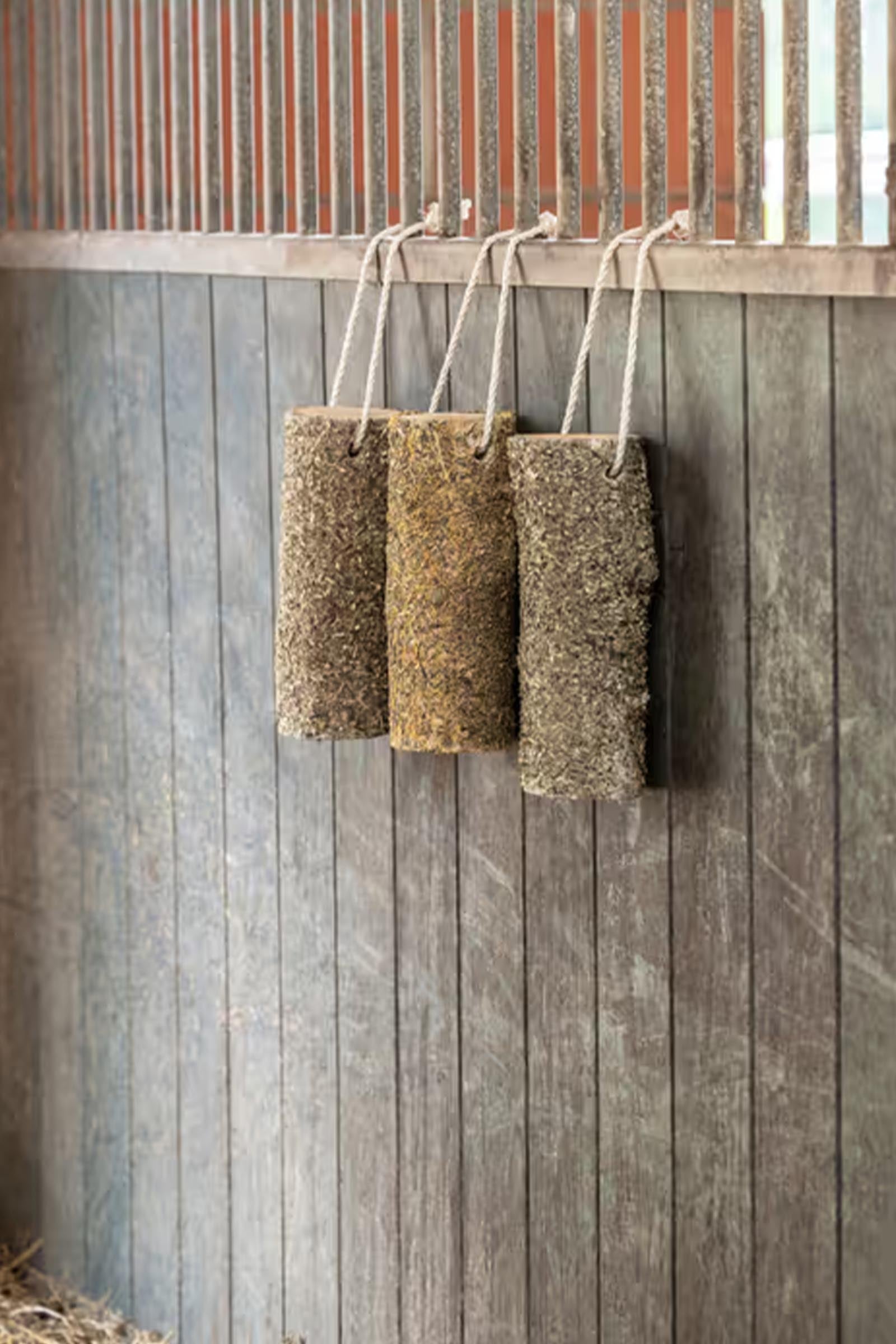 Delizia Delizia® Wooden Stick Chew Bronchial 1,5 kg Horse Feed & Nutrition