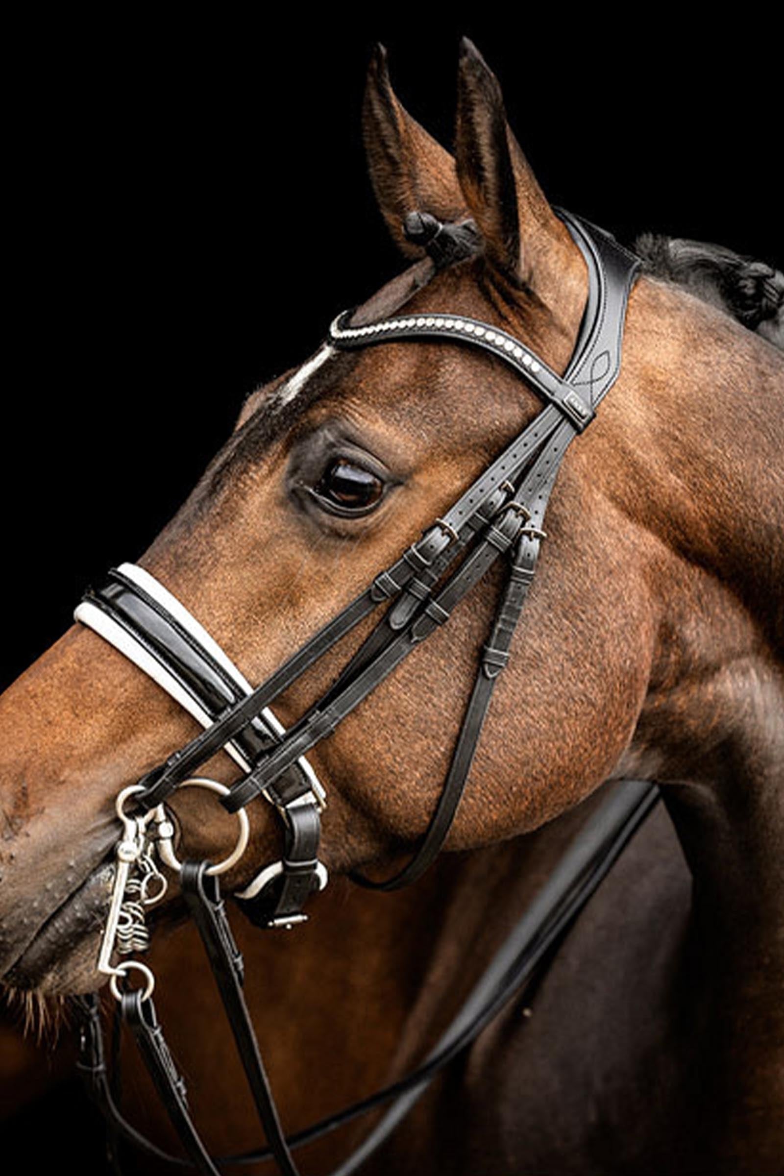 Anky ANKY Double Bridle, Extra Wide Headpiece Bridles & Reins