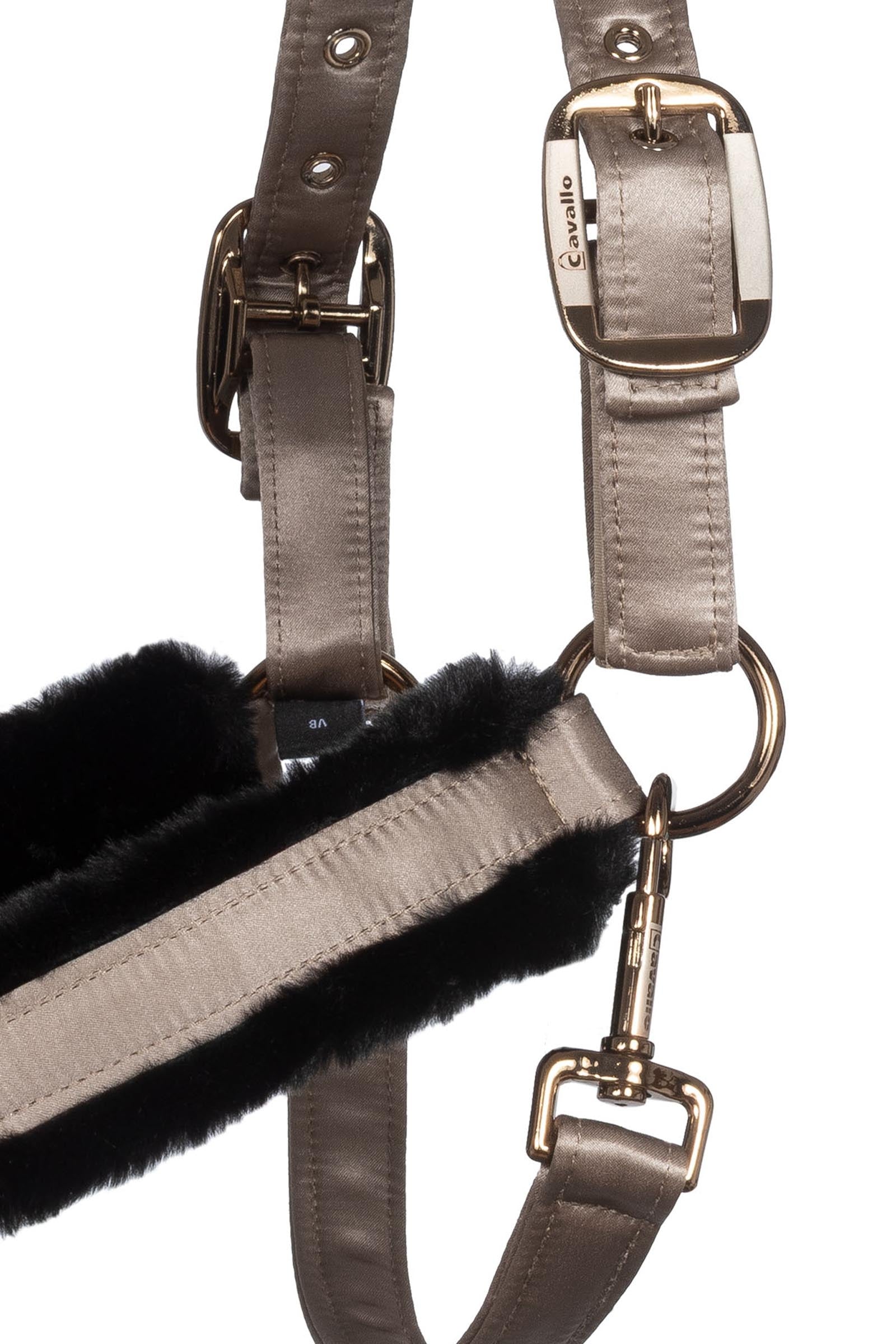 Cavallo CAVALJERO Halter Halters & Leads