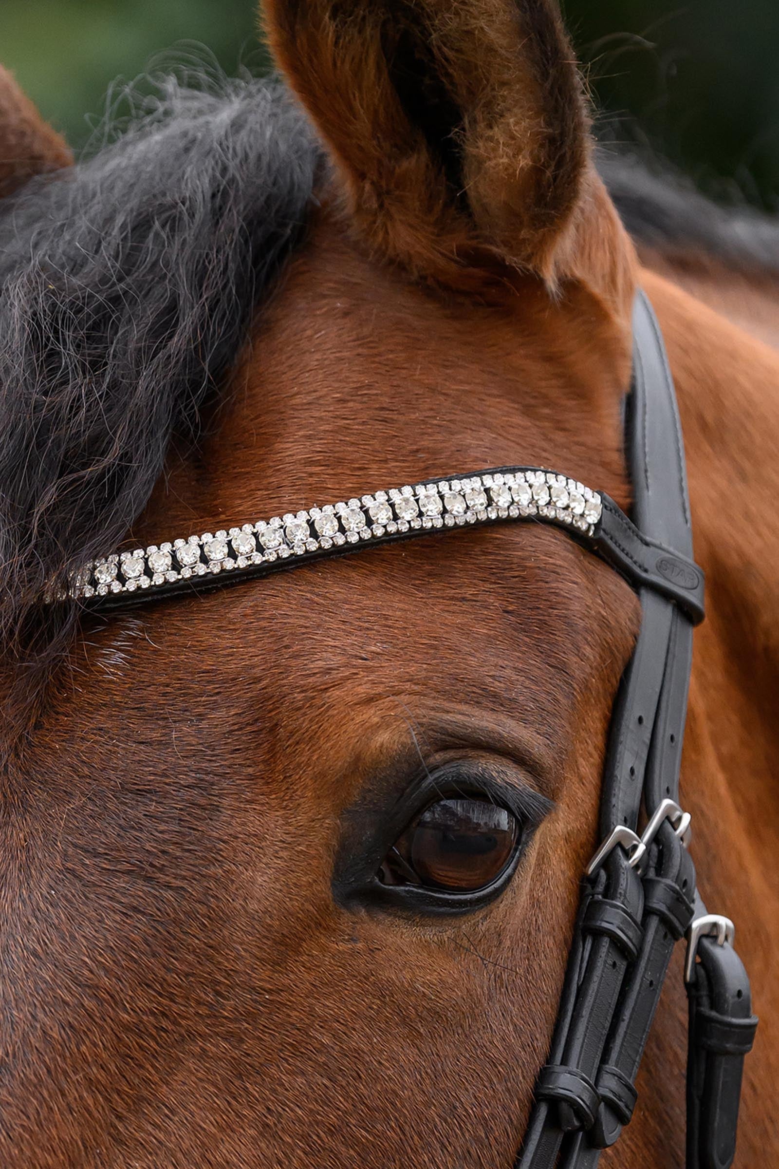 Star Glitter Browband Bridles & Reins