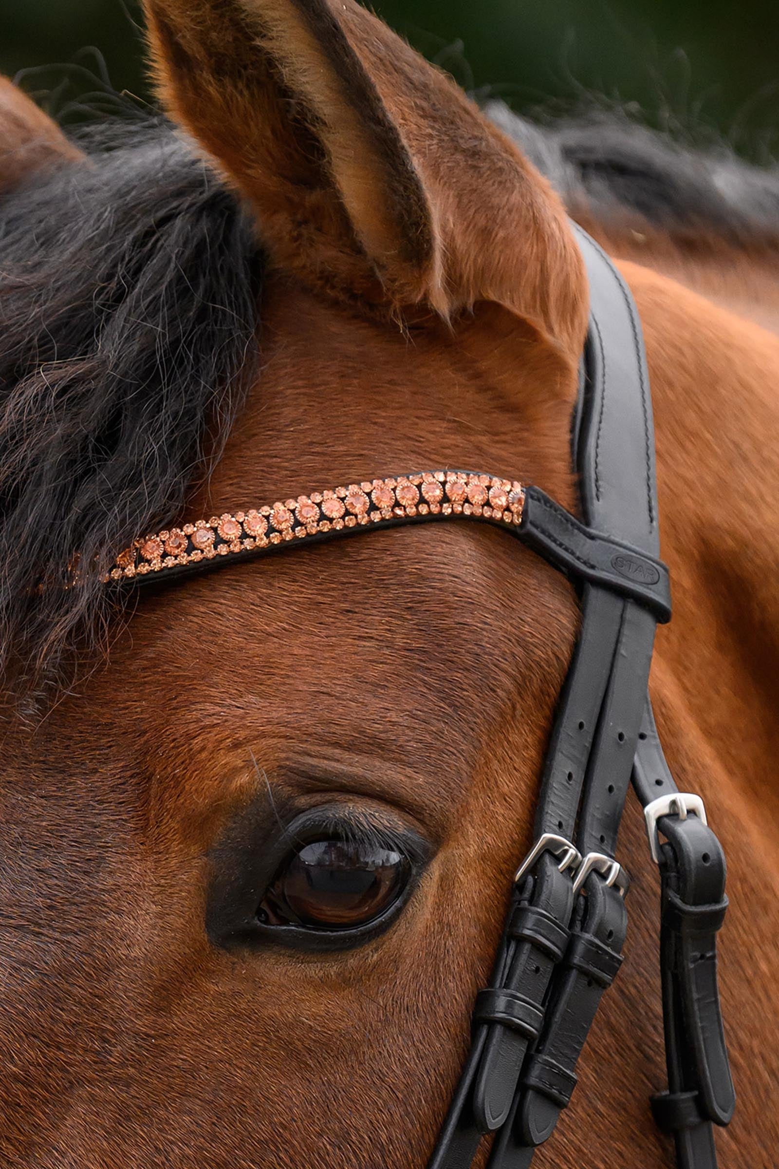 Star Glitter Browband Bridles & Reins