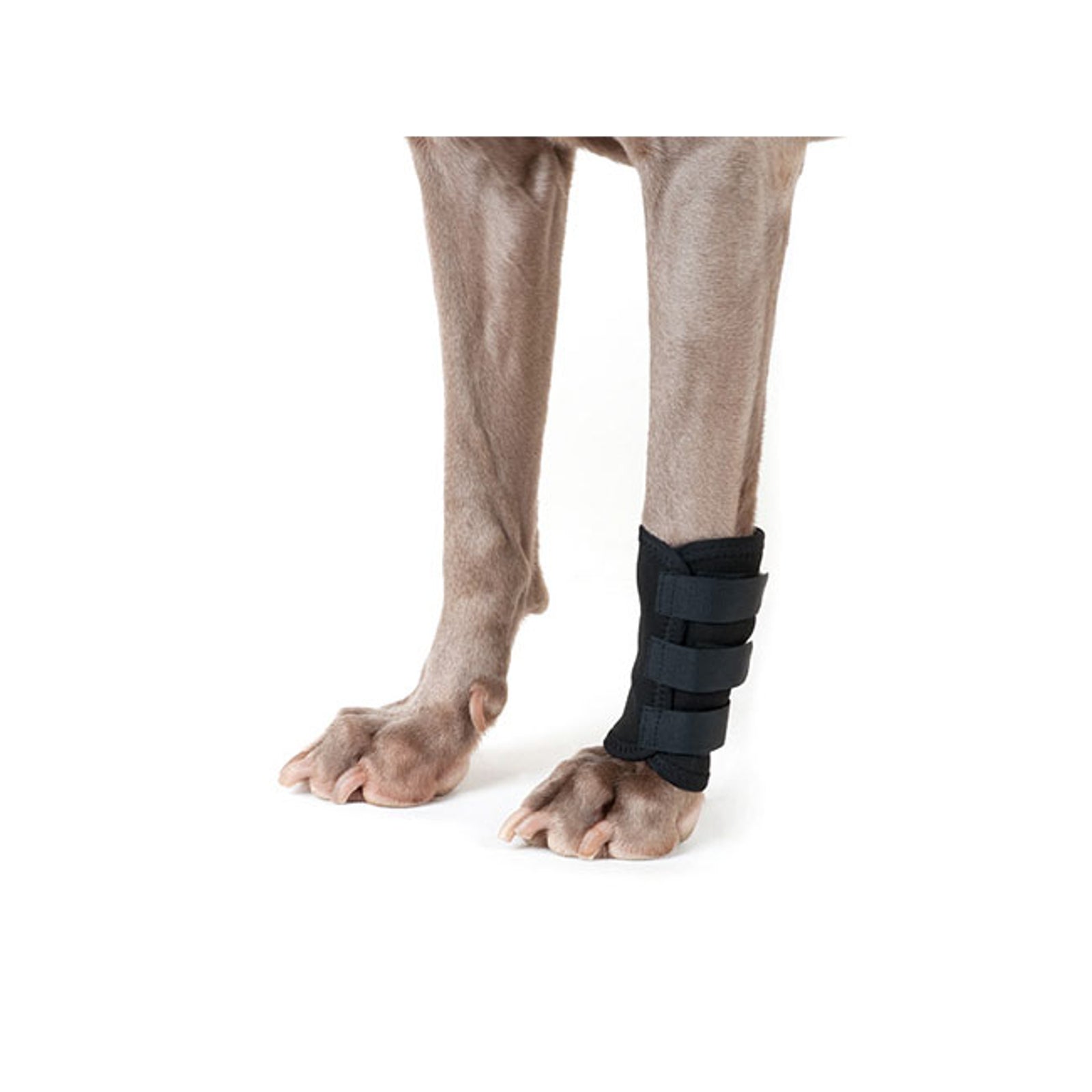 undefined Back on Track Dog Leg Wrap (1 piece) Dog Accesories