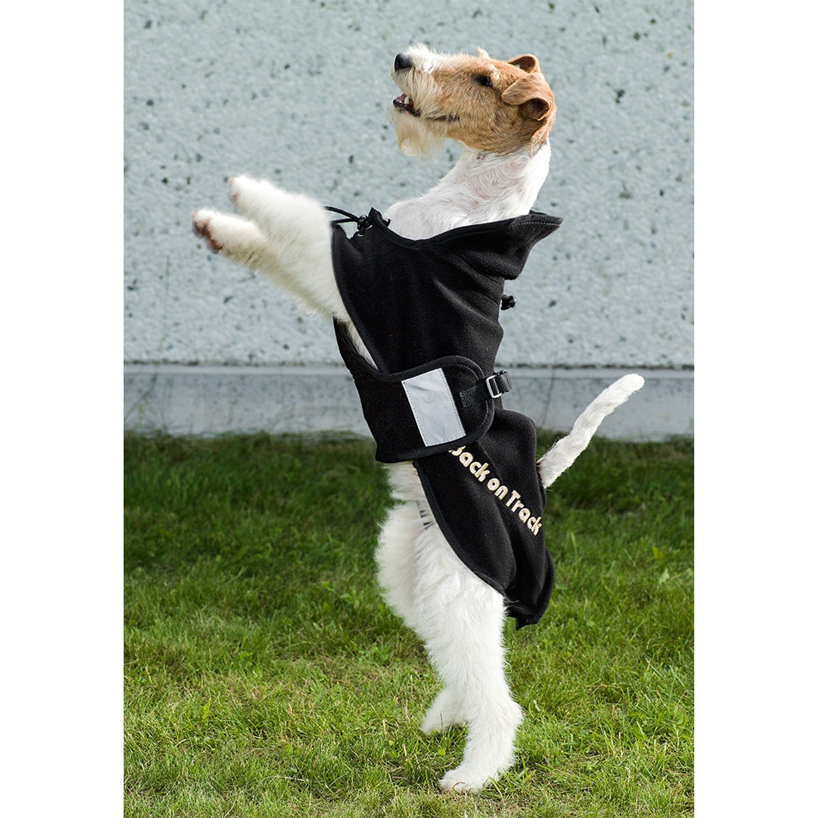 Back on Track Dog Rug Fleece, 21-34 Dog Accesories