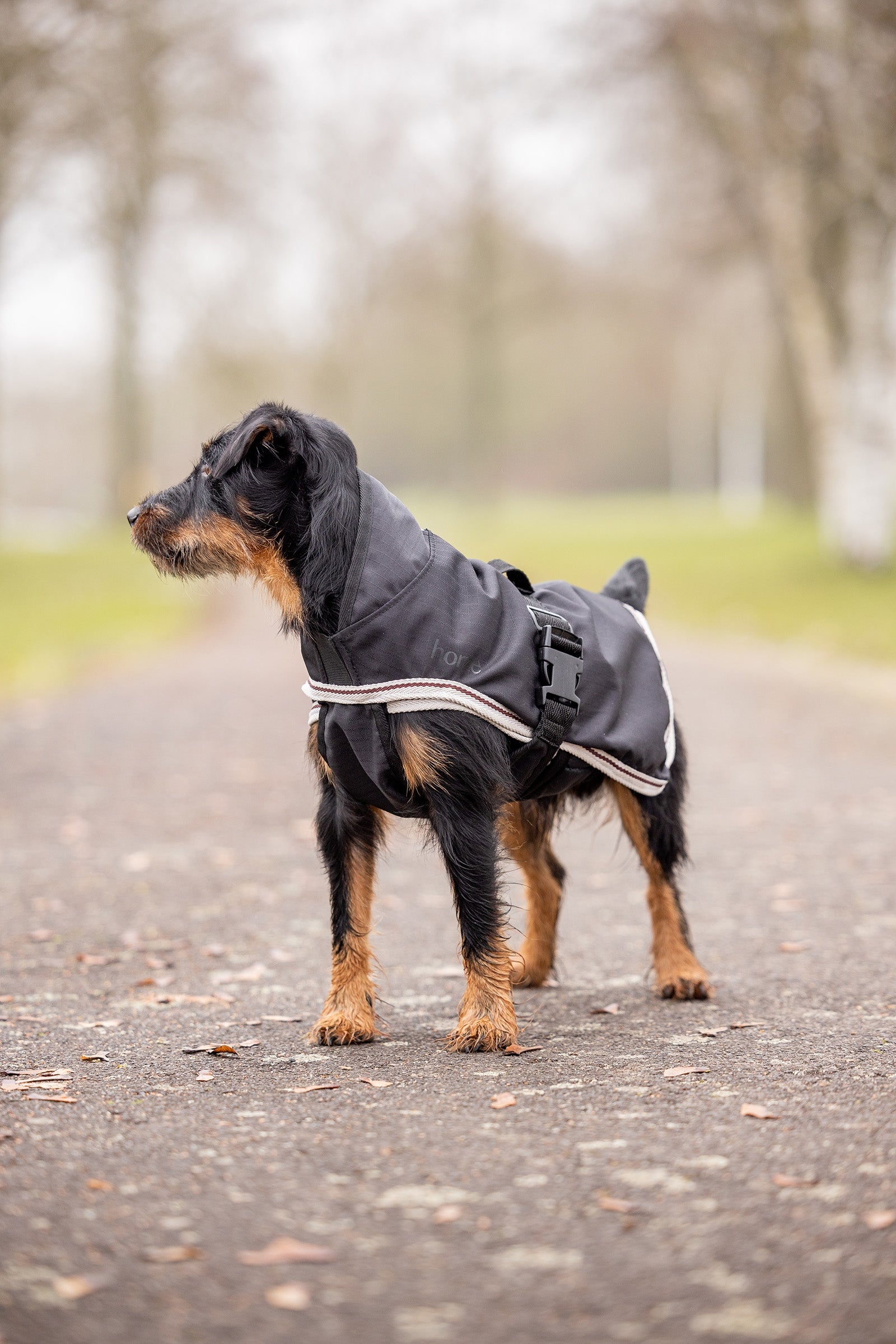 Horze Sudbury 2-in-1 Dog Rug, 0g, 100g Dog Accesories