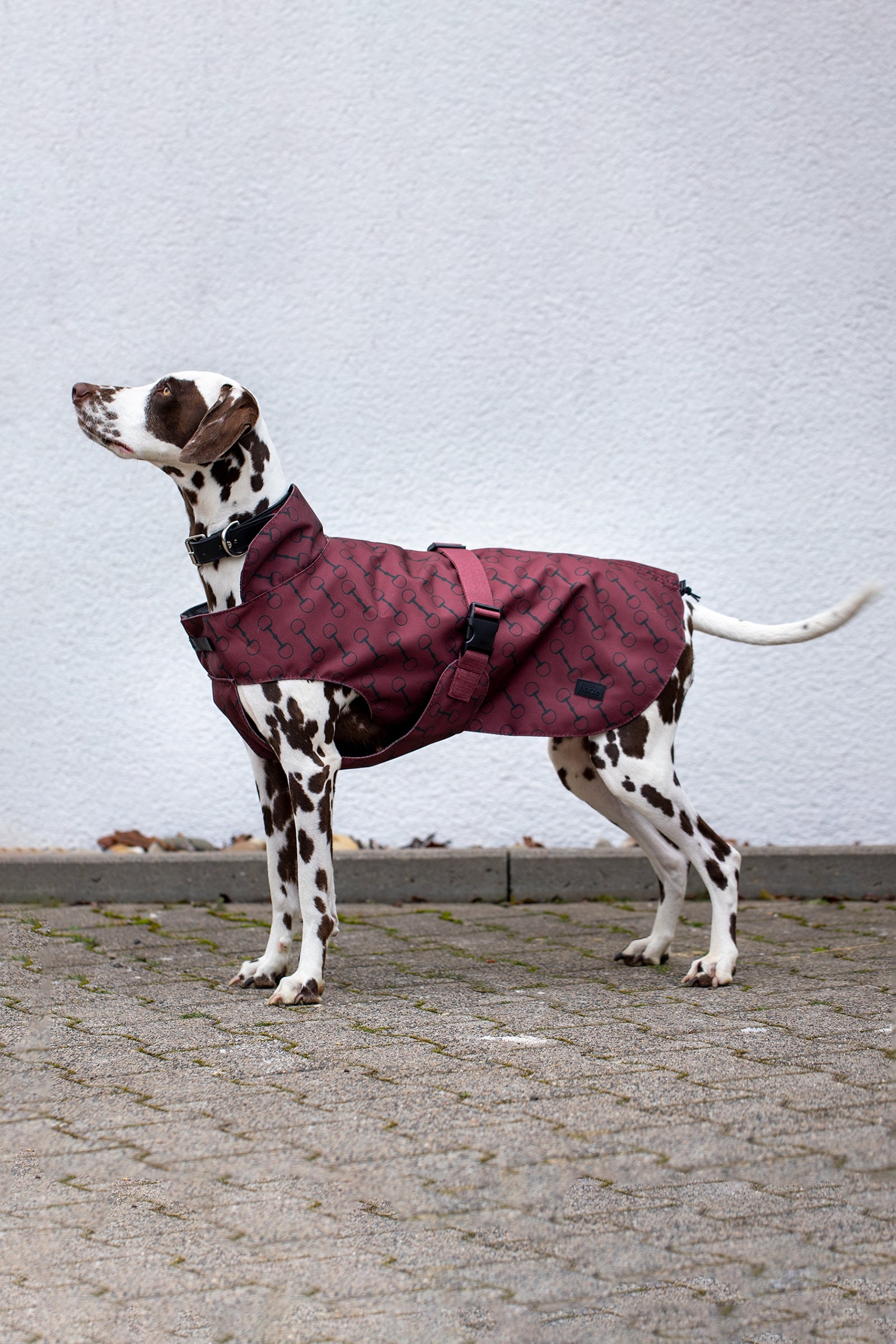 Horze Noir hundedekken med trykk Hundeutstyr