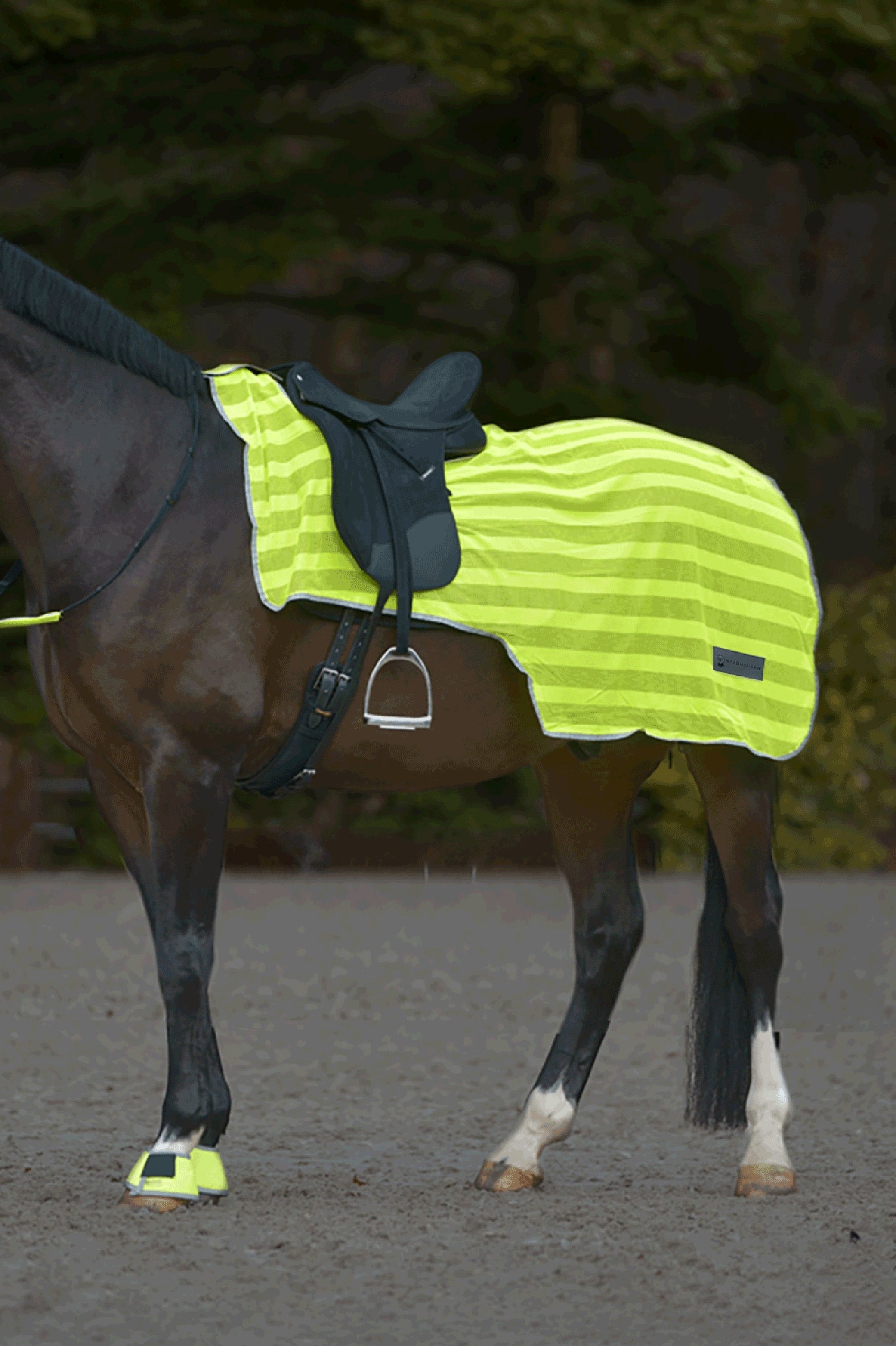 Waldhausen REFLEX Treningsteppe Reflective