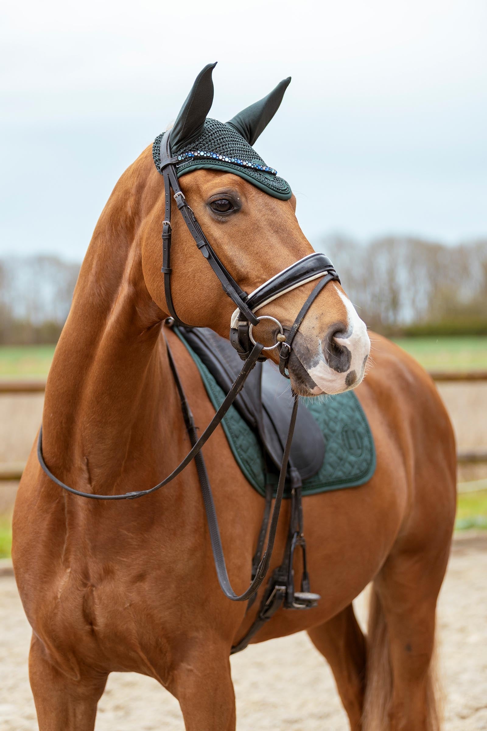 Harcour Saphir Saddle Pad Show Jumping Saddle Pads