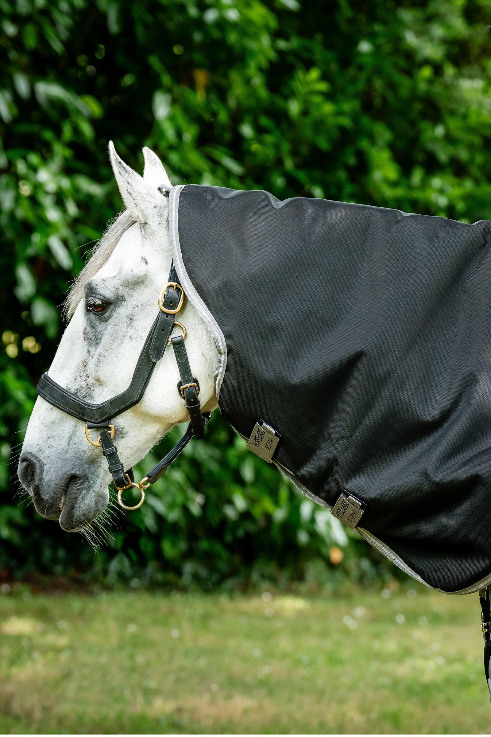 Horseware Amigo Bravo 12 Hood 0g Horse Rugs