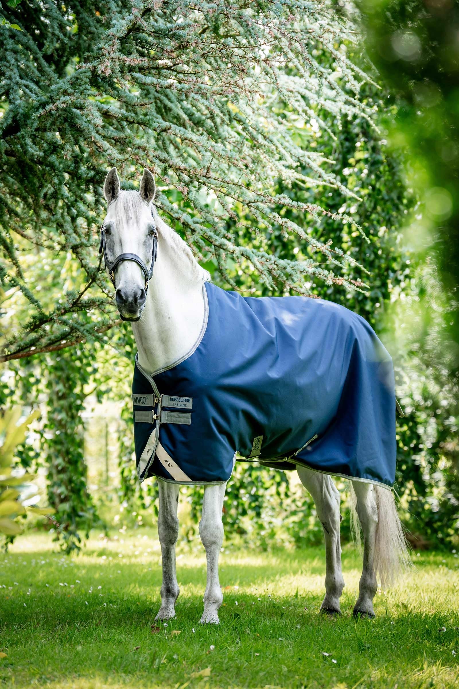 Horseware Amigo Bravo 12 utedekken, 100g Dekken