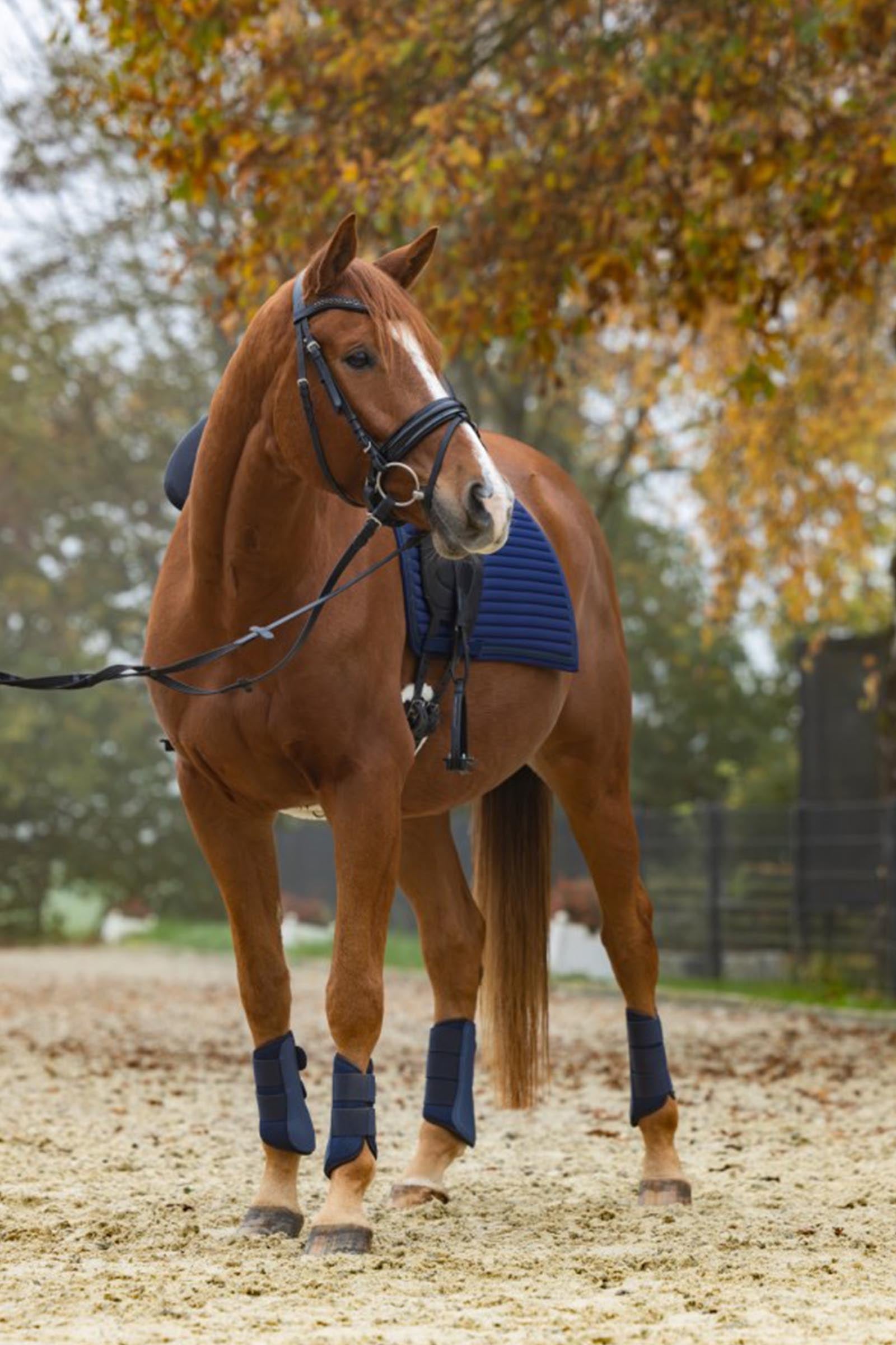 Covalliero Avina Soft Gaiters (1 Pair) Leg & Hoof Protection