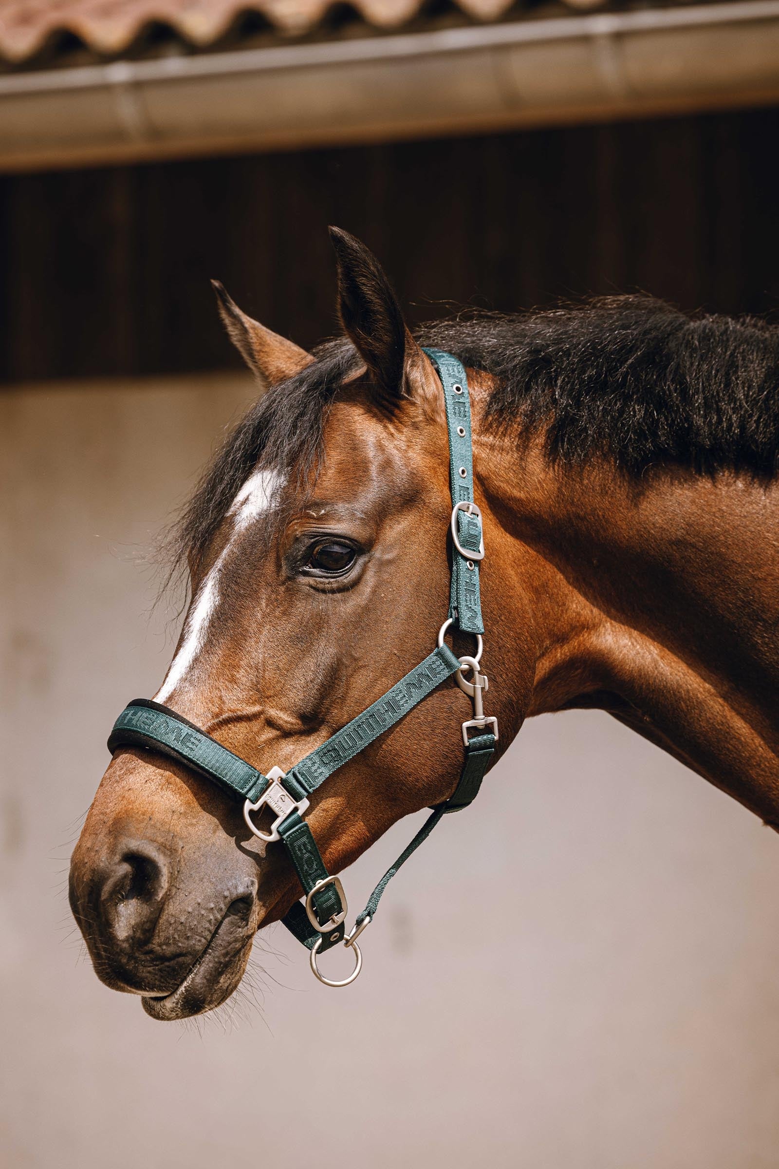 Equi Theme EQUITHÈME Jacquard Nylon Halter Halters & Leads