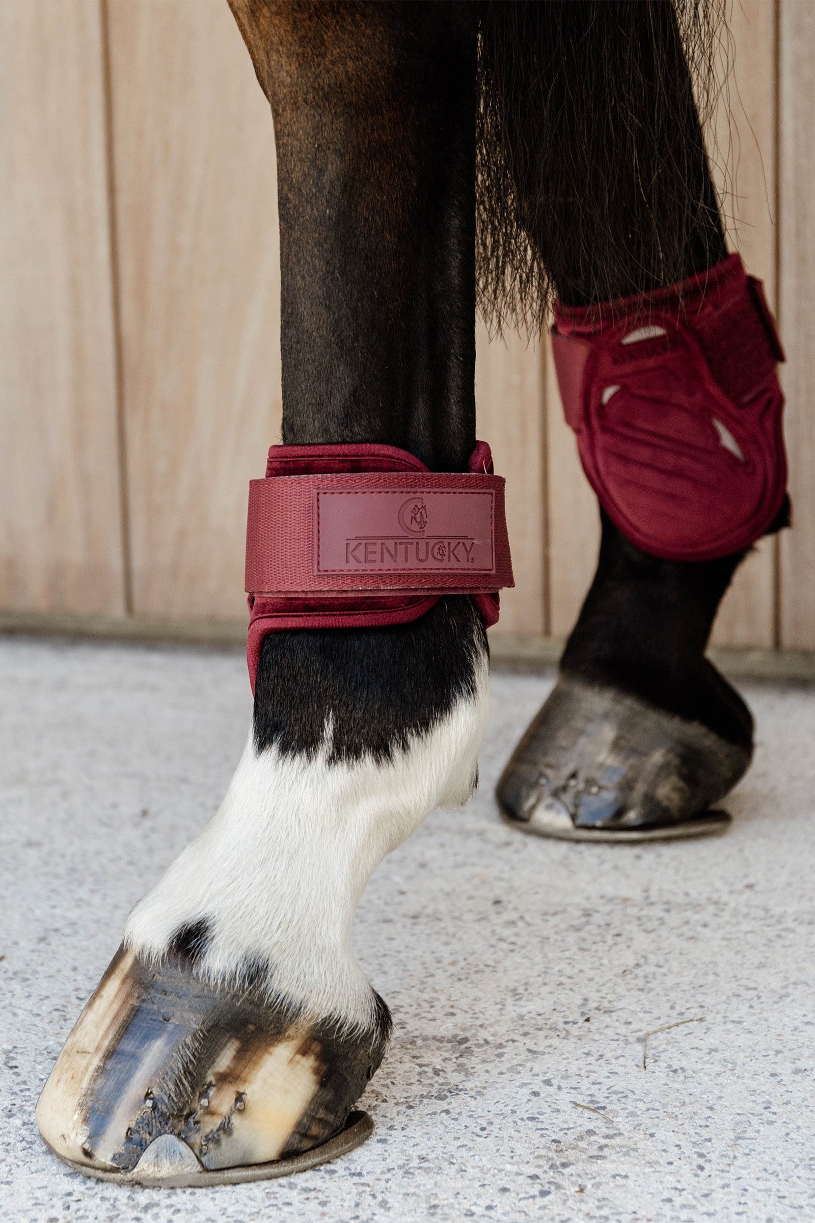 Kentucky Horsewear Velvet Young Horse Fetlock Boots Leg Protection & Hoof Protection for Horses
