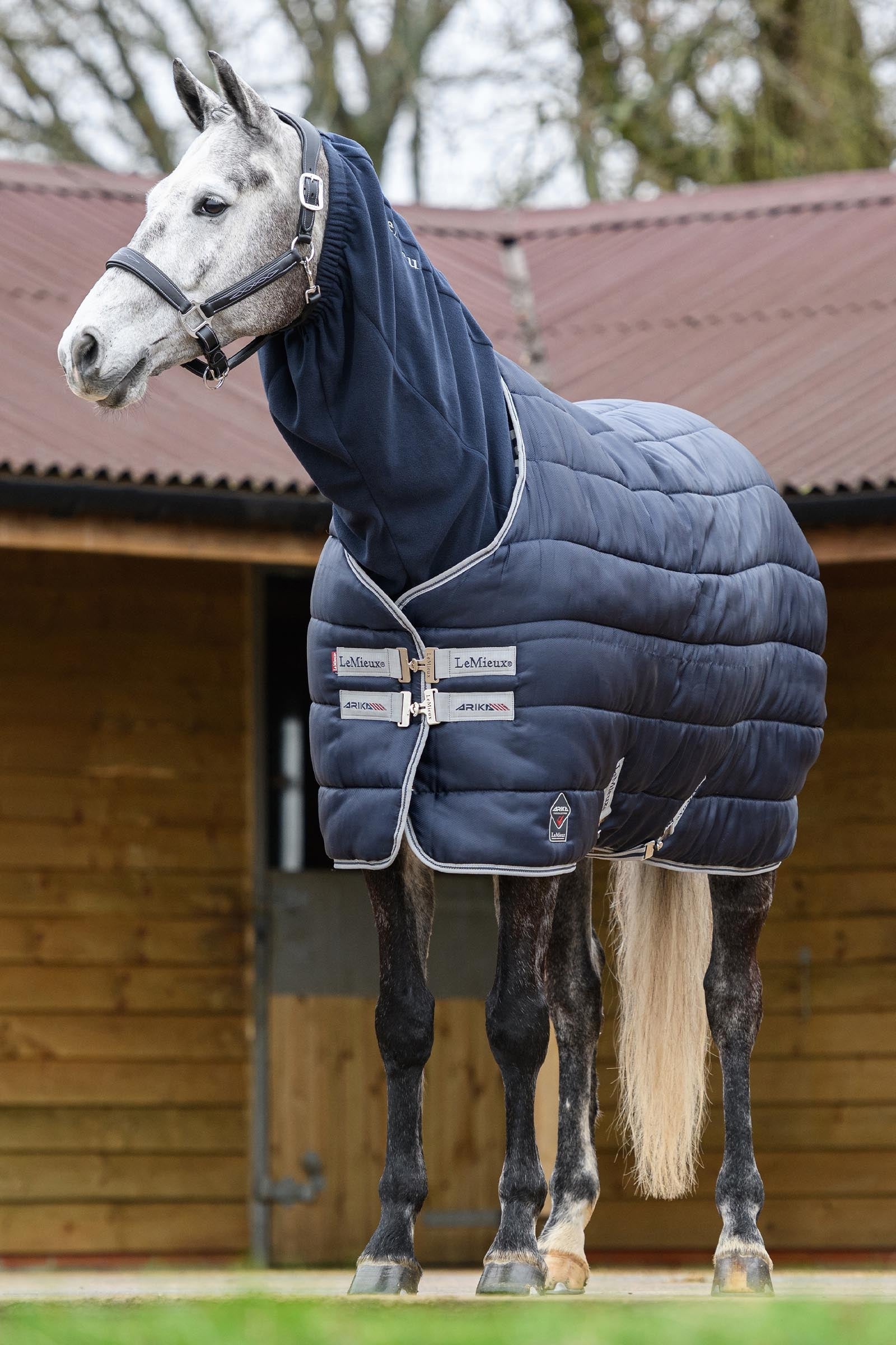 LeMieux Arika Fleece Hood Horse Rugs