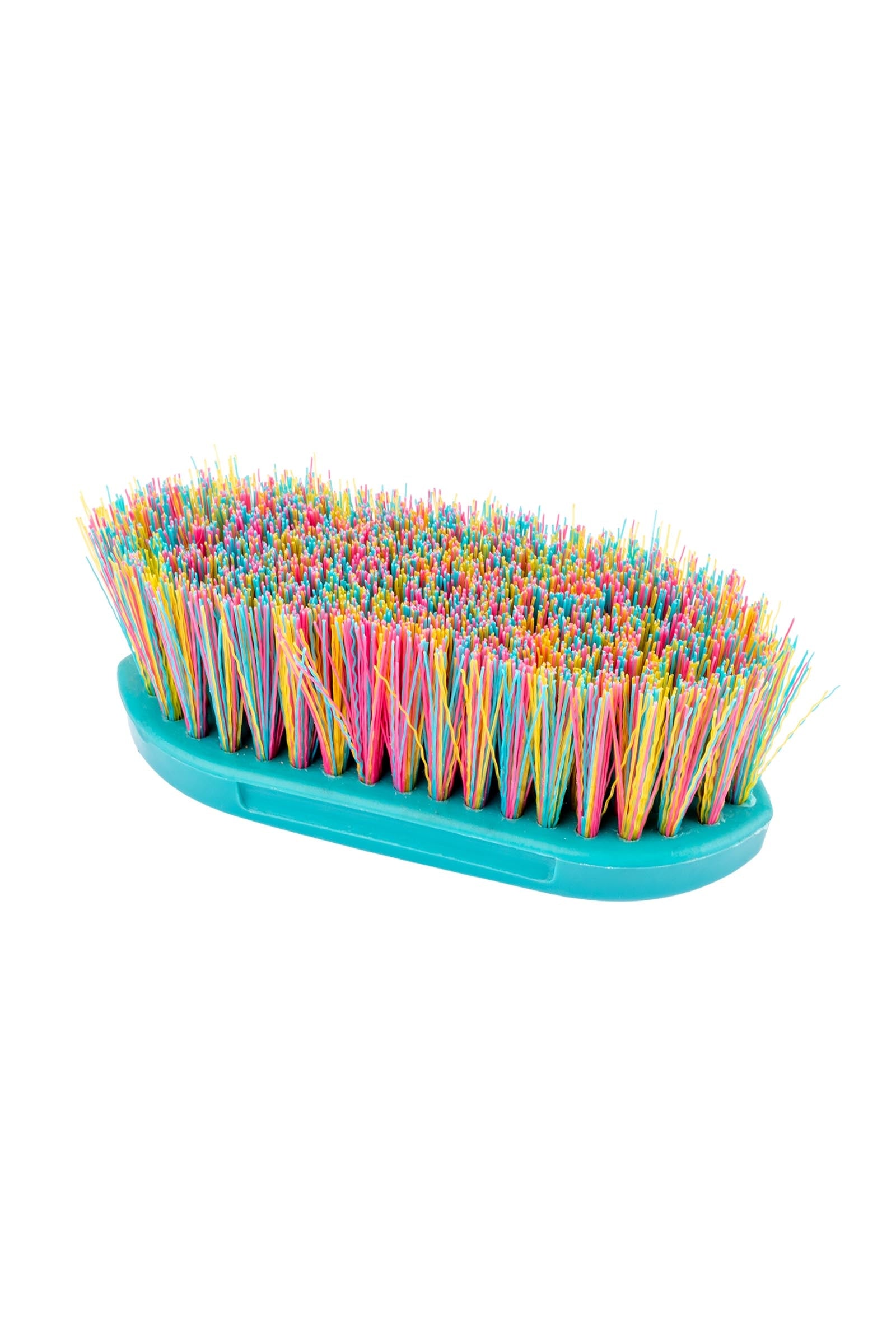Waldhausen Rainbow Stiff Brush Horse Grooming Tools