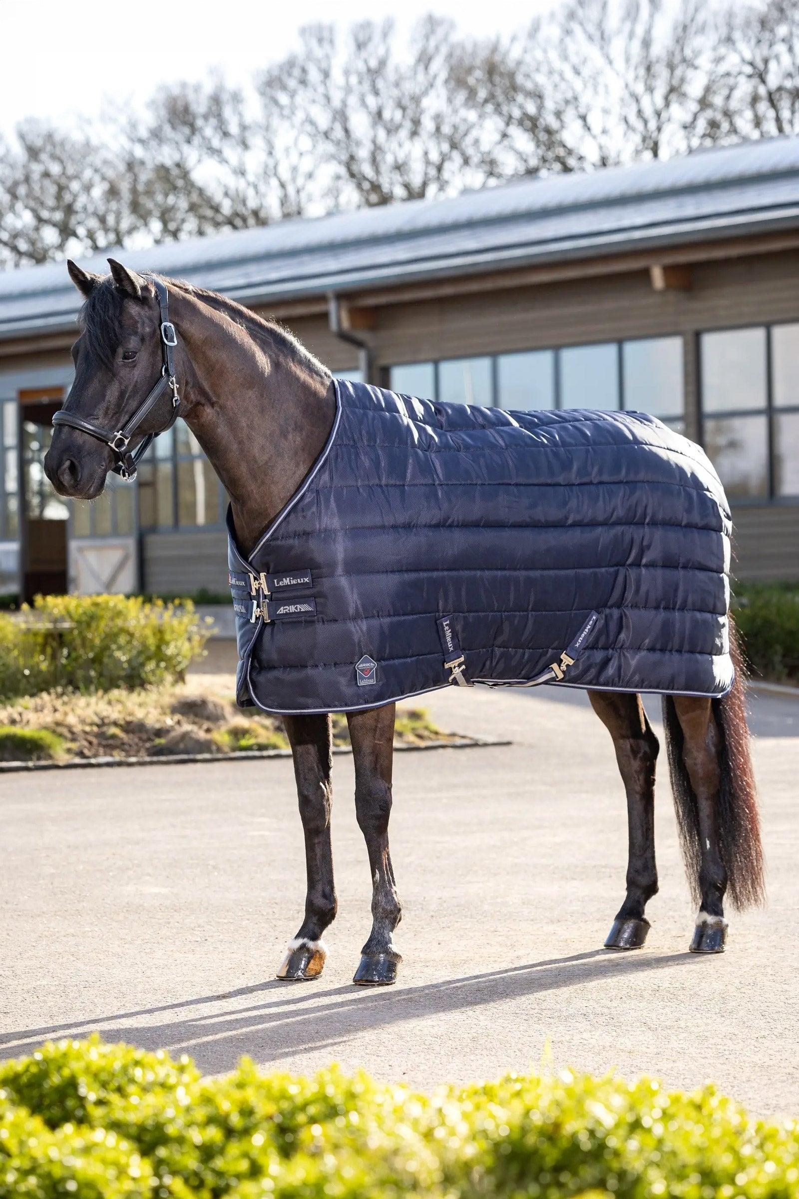 LeMieux Arika Stable-Tek Stable Rug, 350 g Dekken