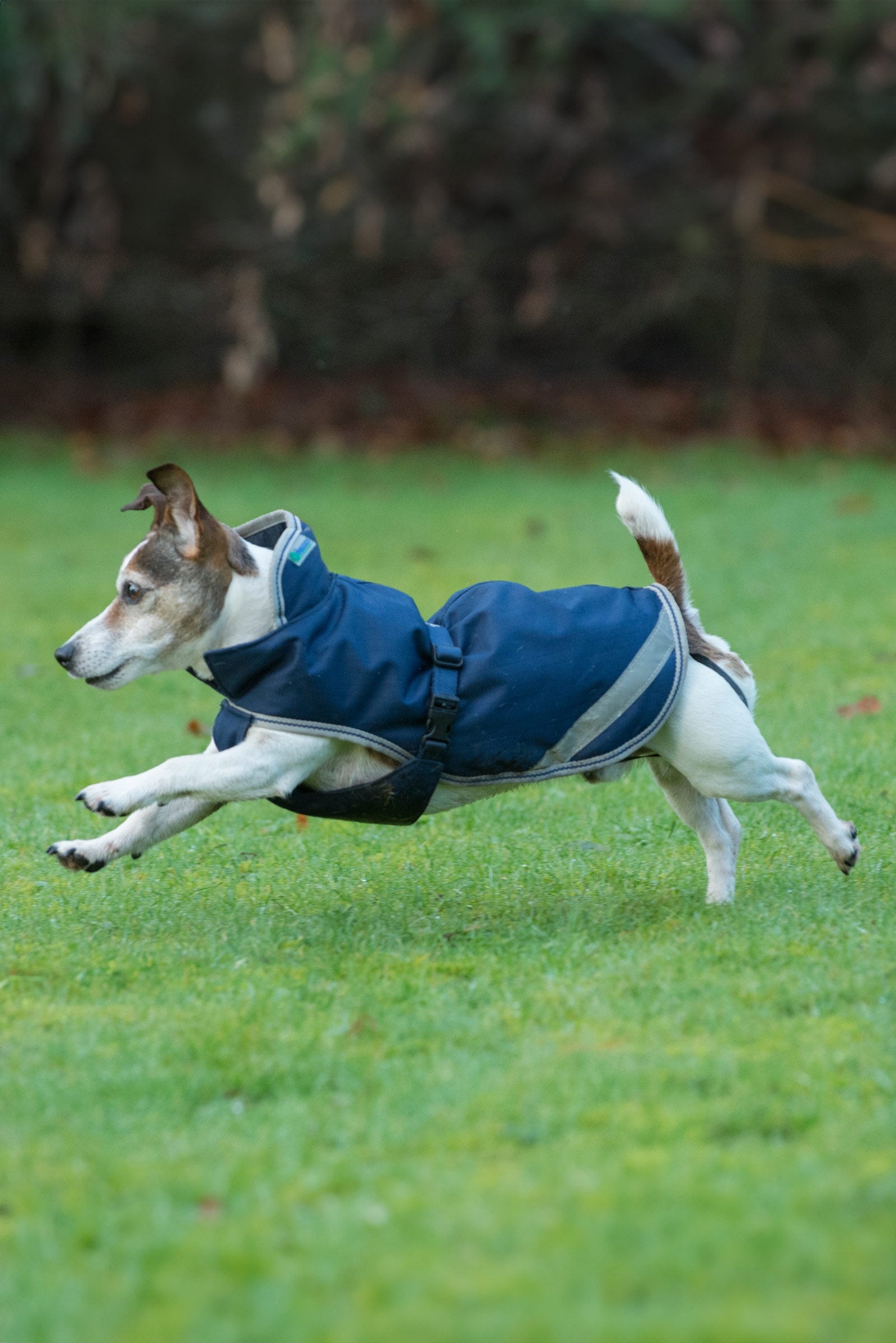 Bucas Freedom Hundedekken, 50g (30-45 cm) Hundeutstyr