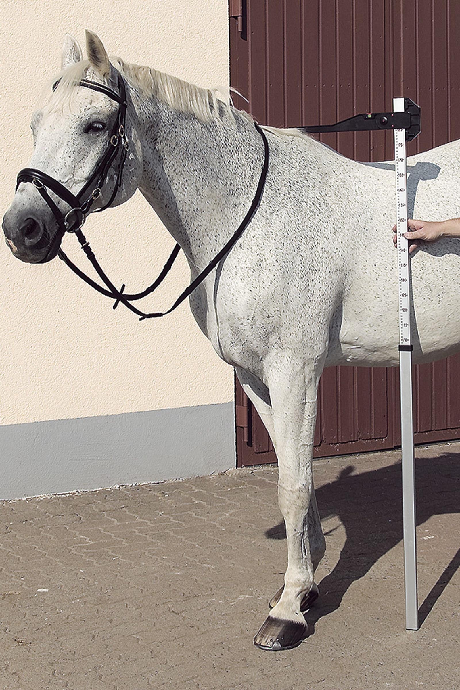 USG DLX Aluminium Measuring Pole Stable Equipment