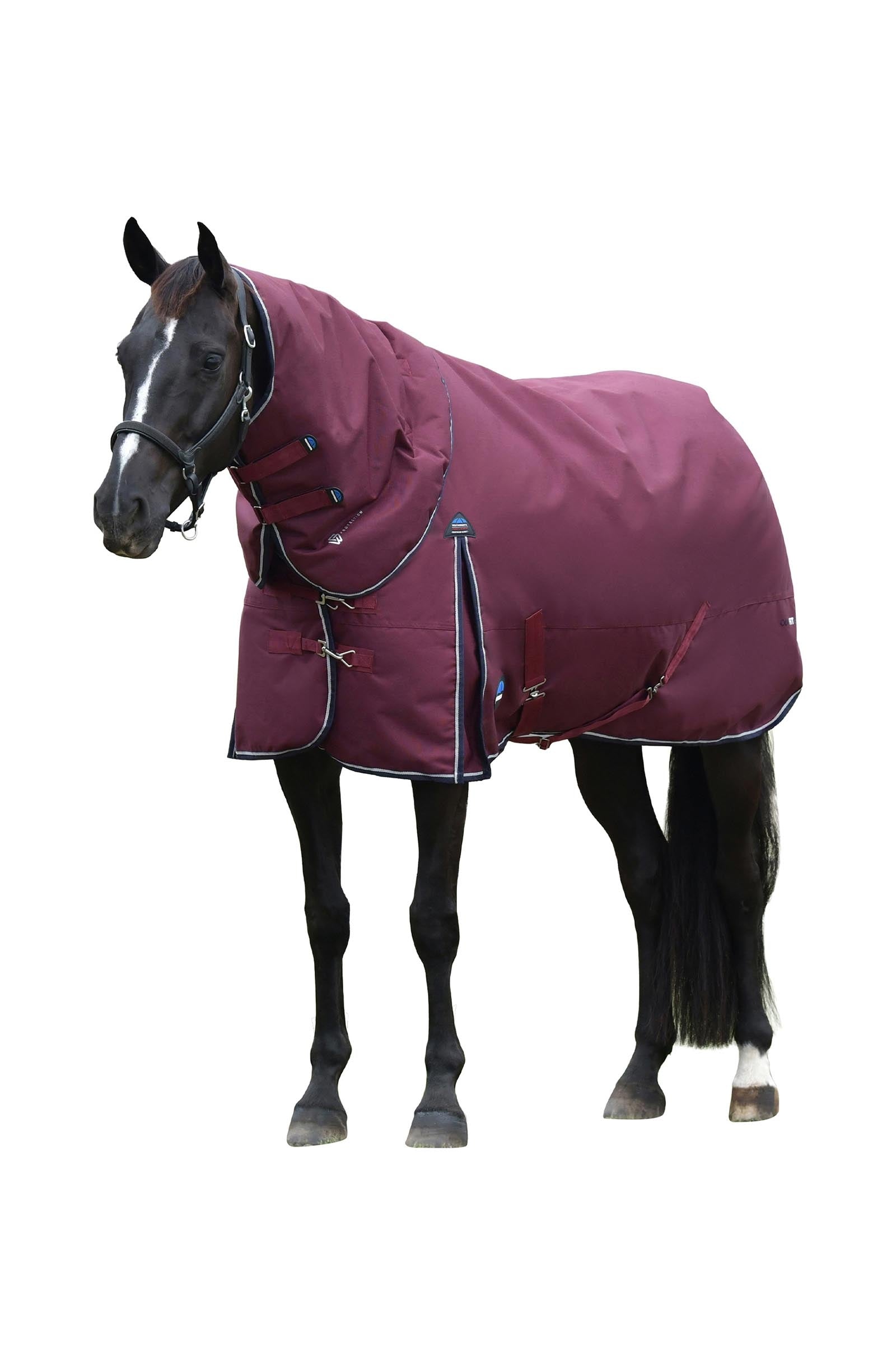 Weatherbeeta Comfitec Essential Turnout Rug Detach-A-Neck 220g Horse Rugs