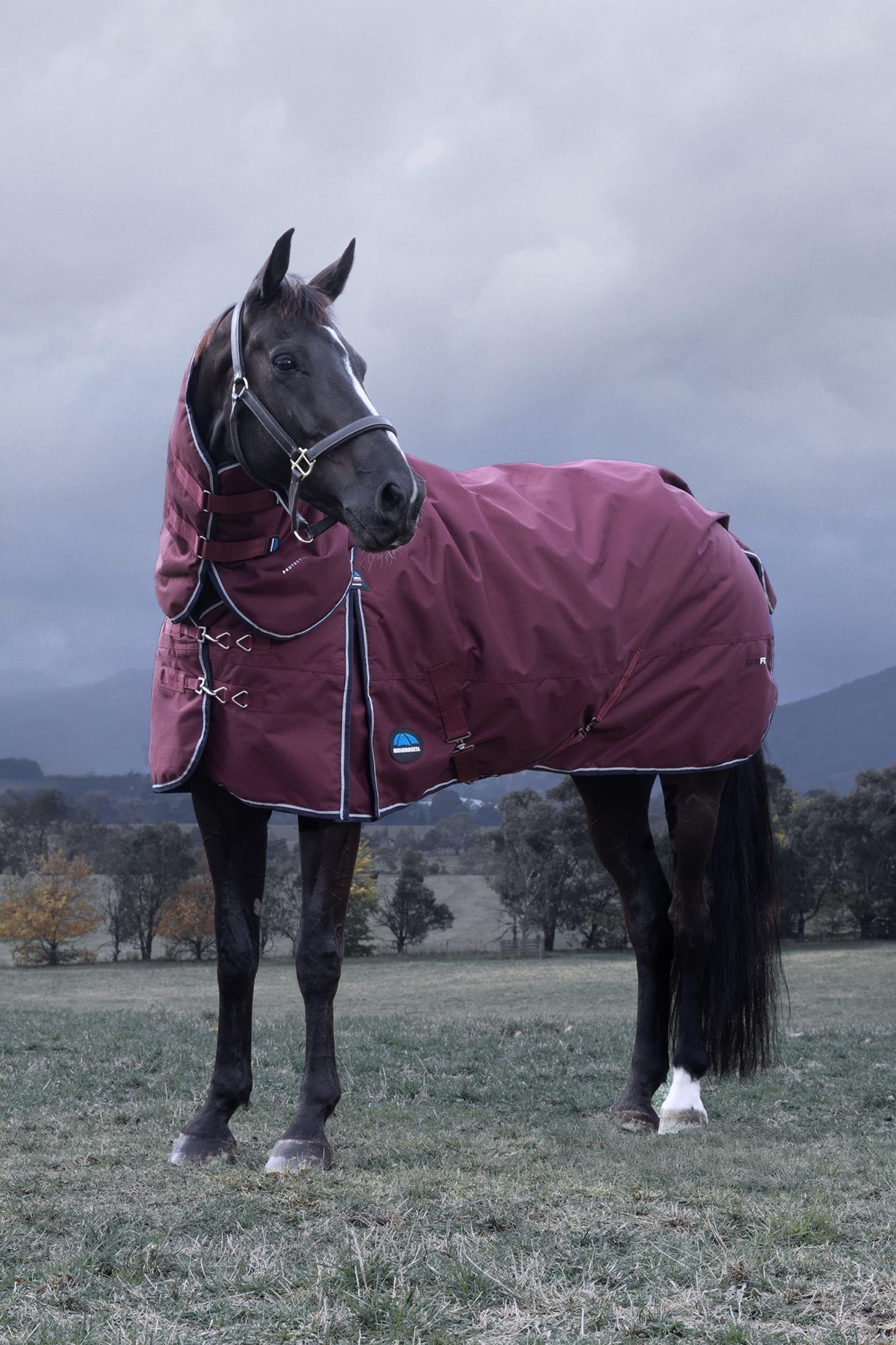 Weatherbeeta Comfitec Essential Turnout Rug Detach-A-Neck 220g Horse Rugs