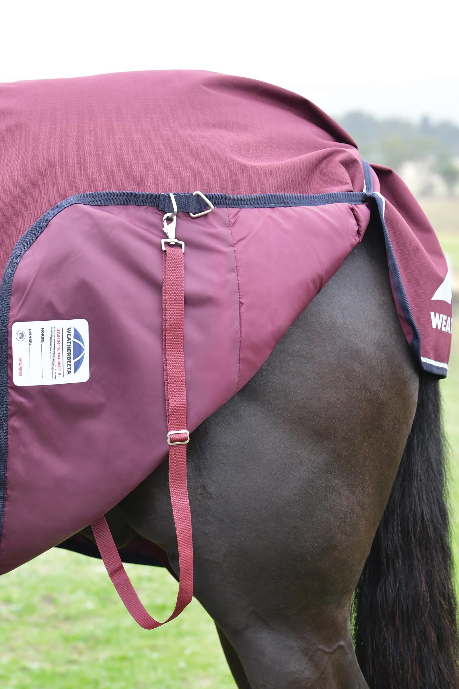 Weatherbeeta Comfitec Essential Turnout Rug Detach-A-Neck 220g Horse Rugs