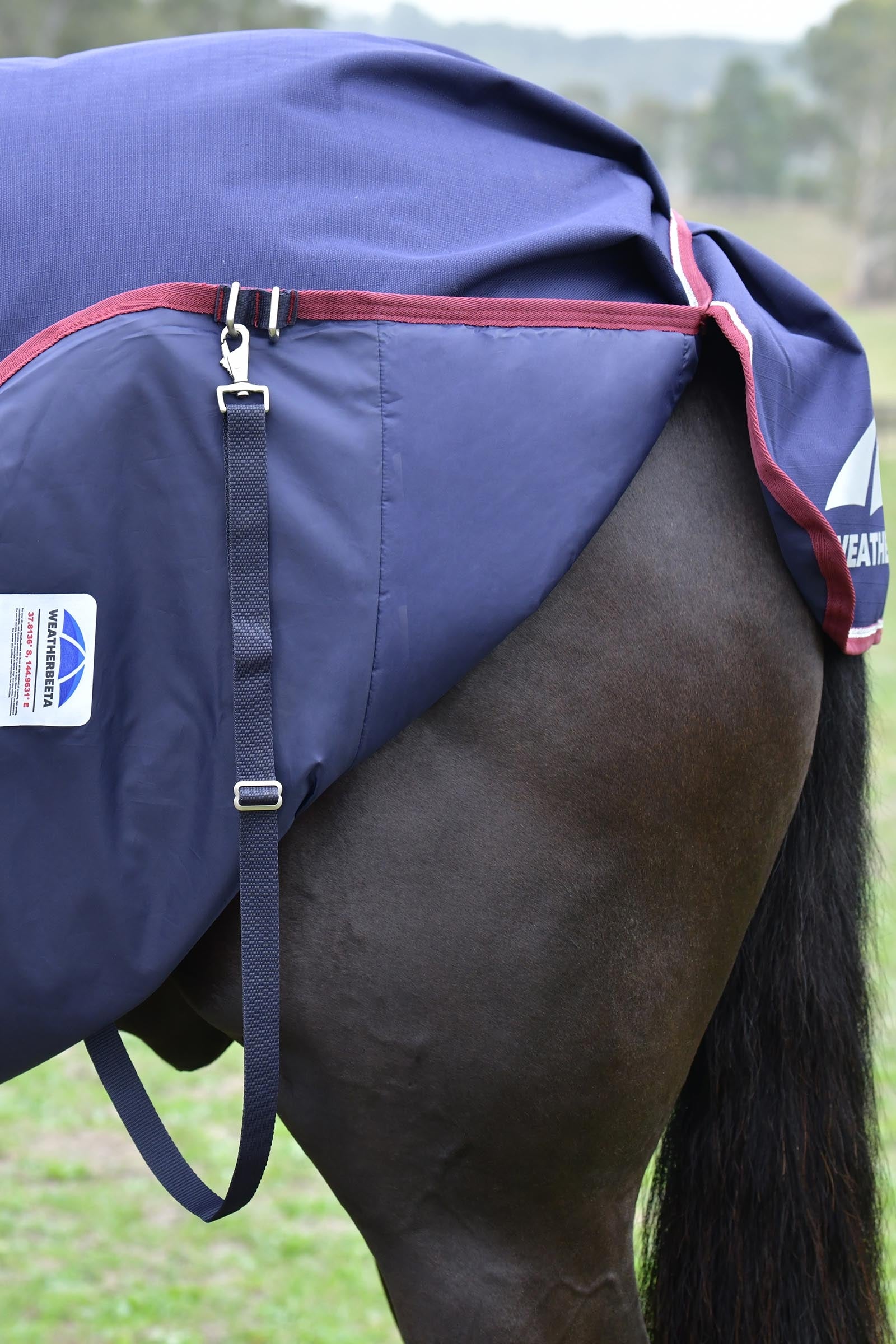 Weatherbeeta Comfitec Essential Turnout Rug Detach-A-Neck 220g Horse Rugs
