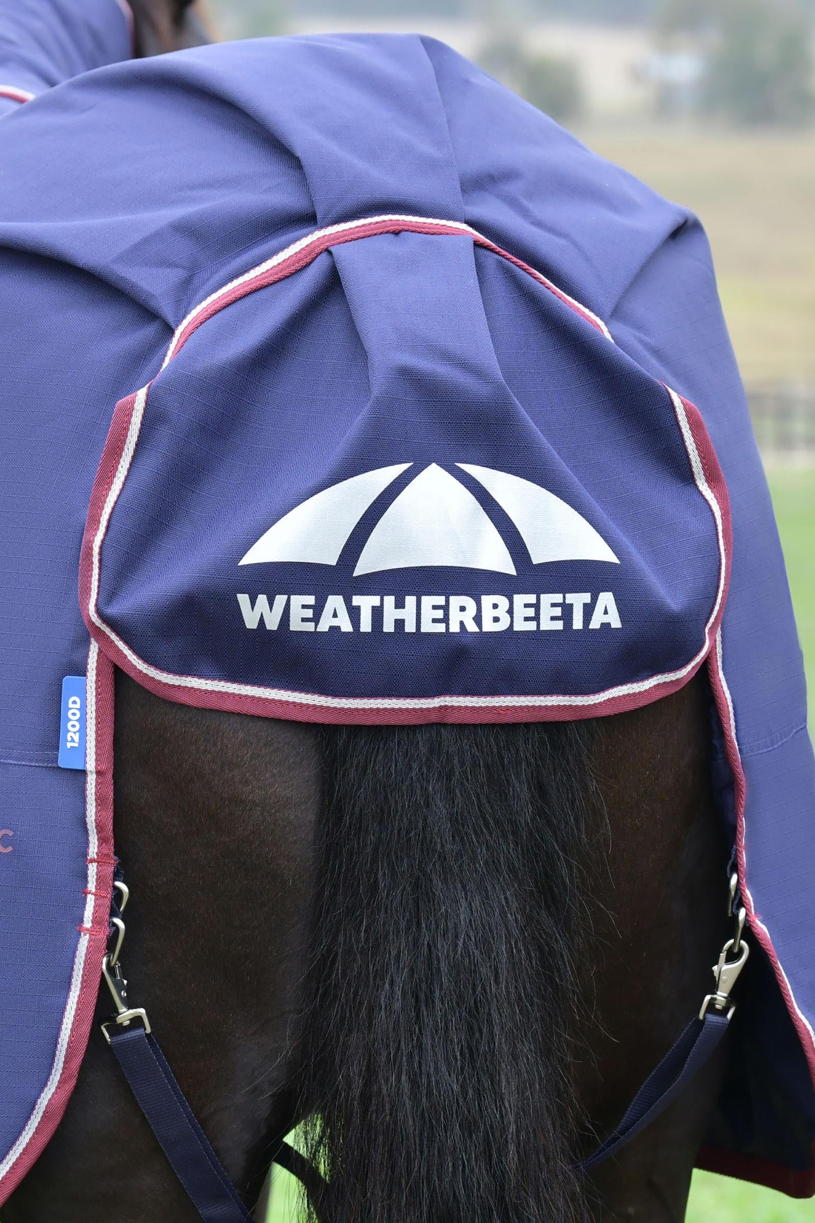 Weatherbeeta Comfitec Essential Turnout Rug Detach-A-Neck 220g Horse Rugs