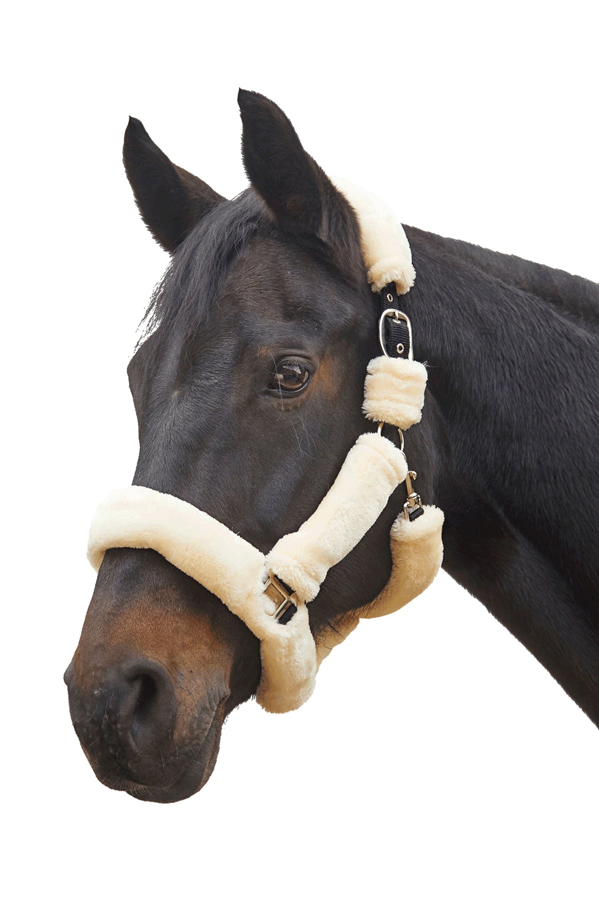 Waldhausen Cozy Furry Halter Halters & Leads