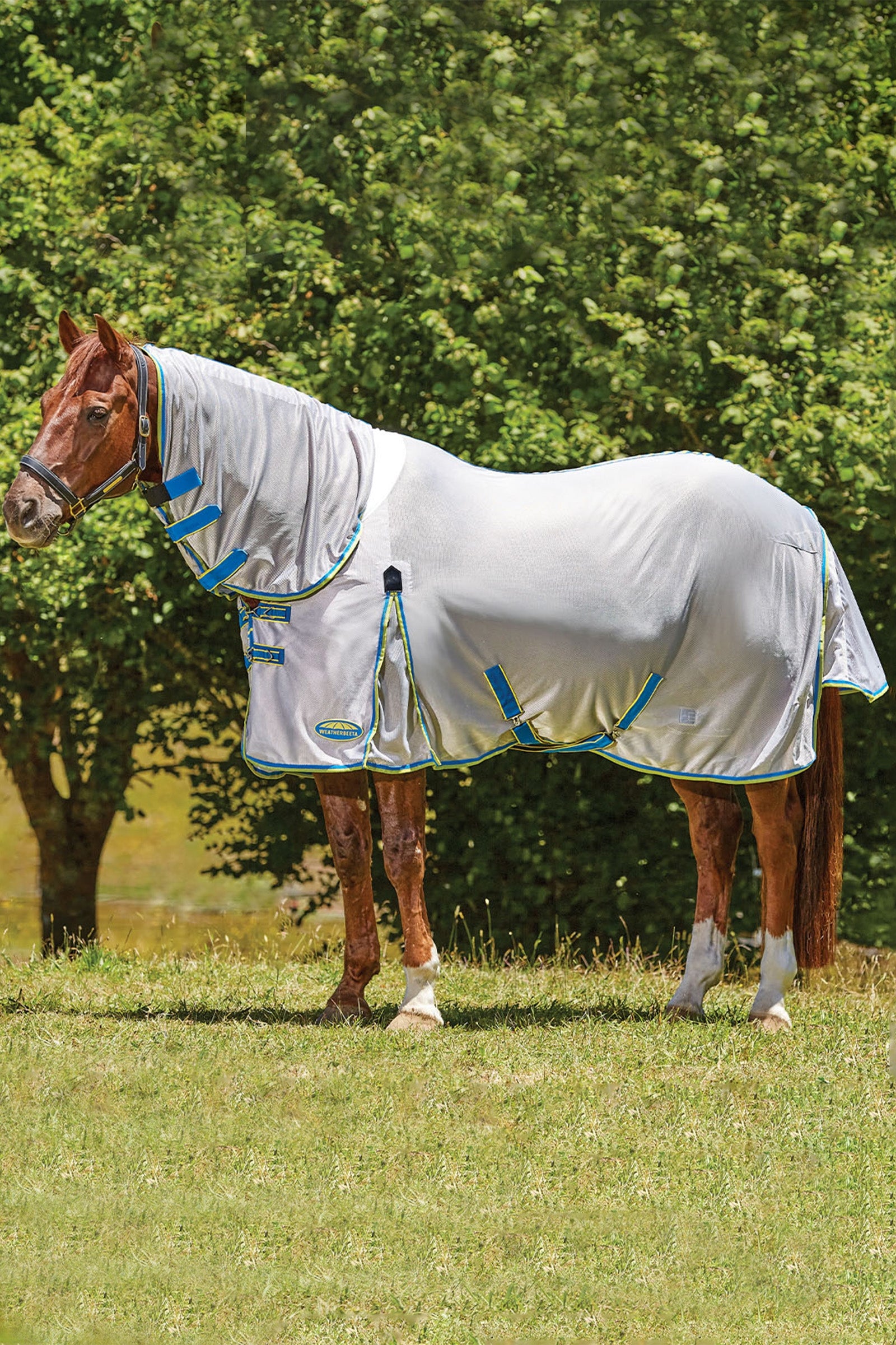 Weatherbeeta Comfitec Zephyr Plus Mesh Combo Neck Horse Rugs