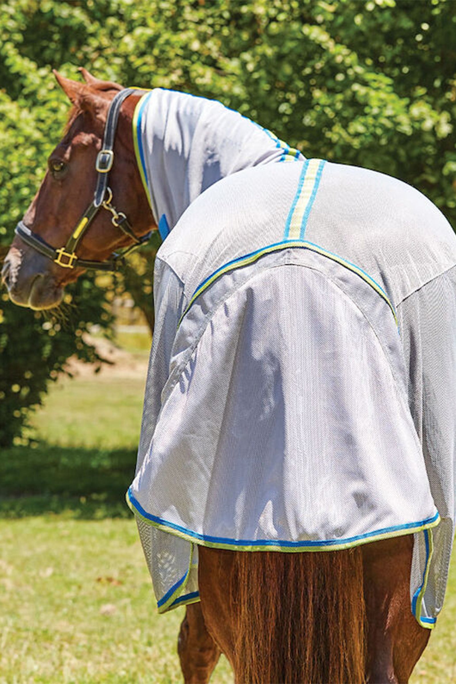 Weatherbeeta Comfitec Zephyr Plus Mesh Combo Neck Horse Rugs