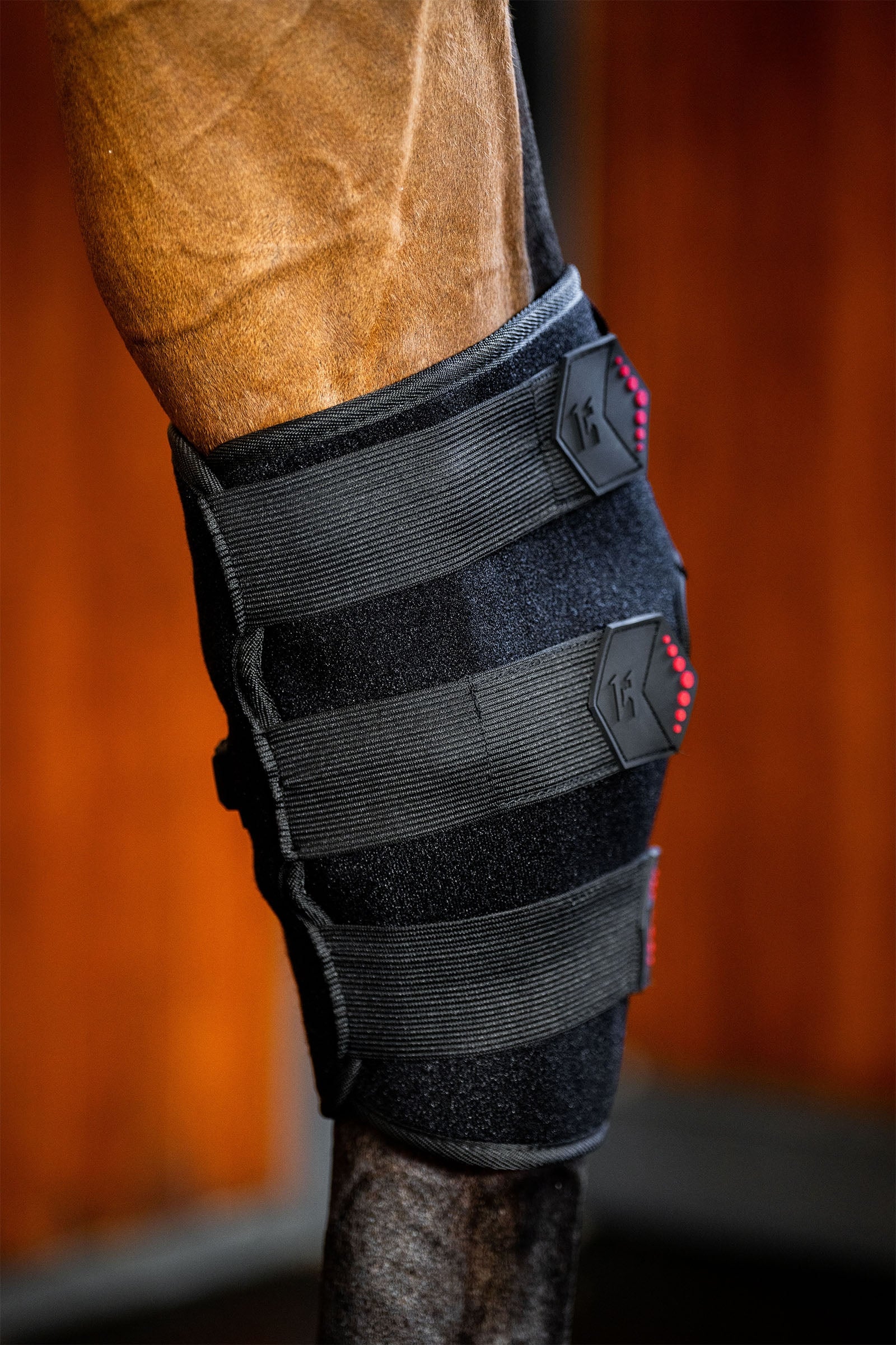 Horseware LED Red Light Therapy Hock Boot (1 pc.) Leg & Hoof Protection