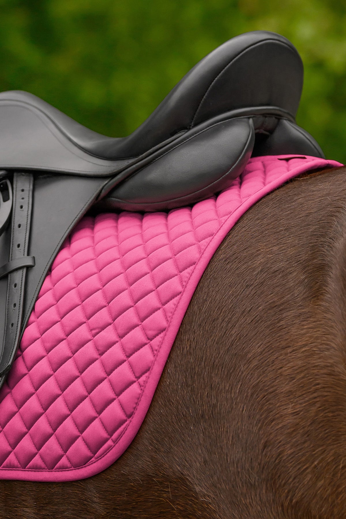Waldhausen Felix Universal Dressage Saddle Pad Saddle Pads