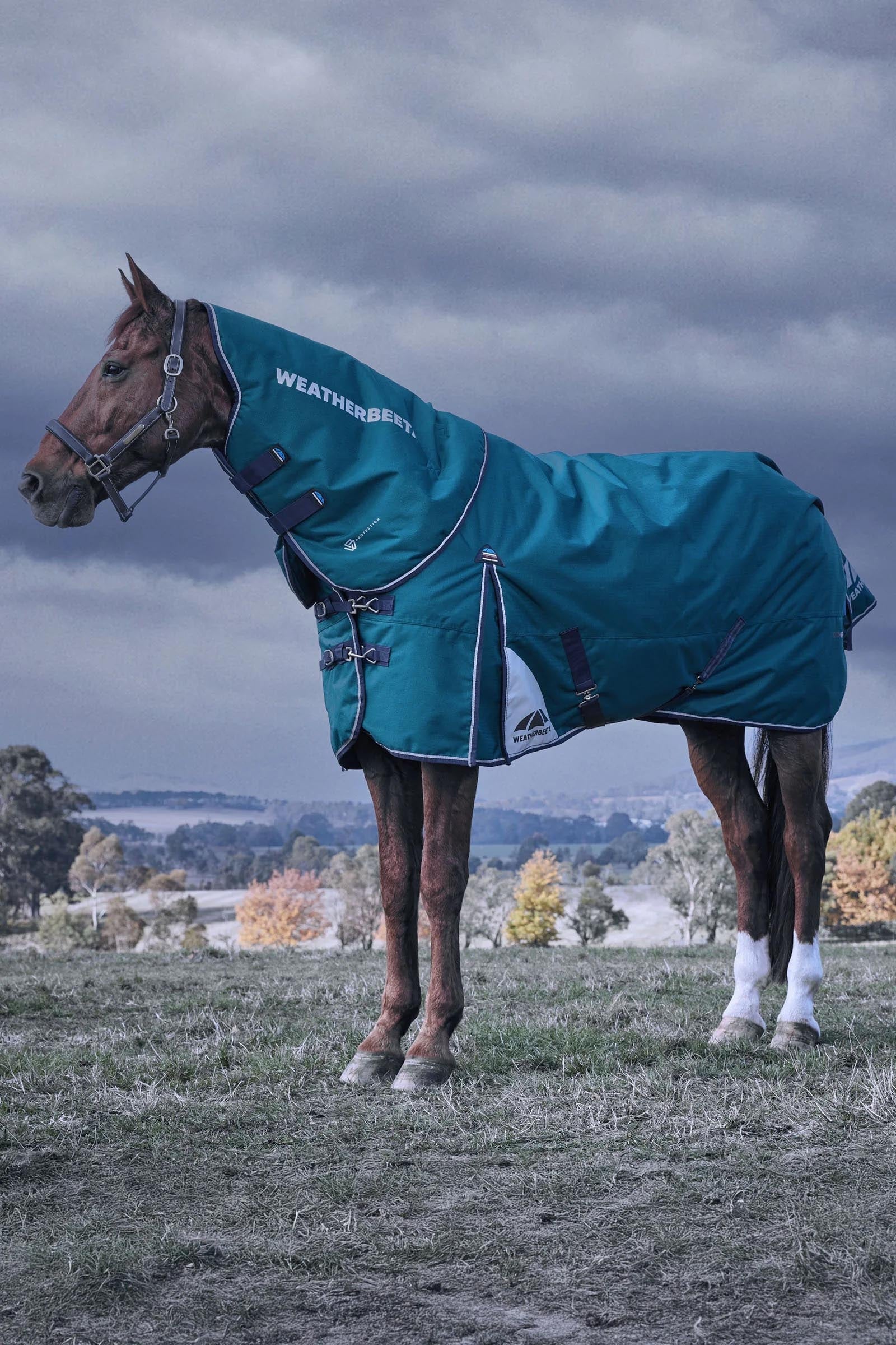 Weatherbeeta ComFiTecPlus Dynamic Turnout Detach-A-Neck 220G Horse Rugs